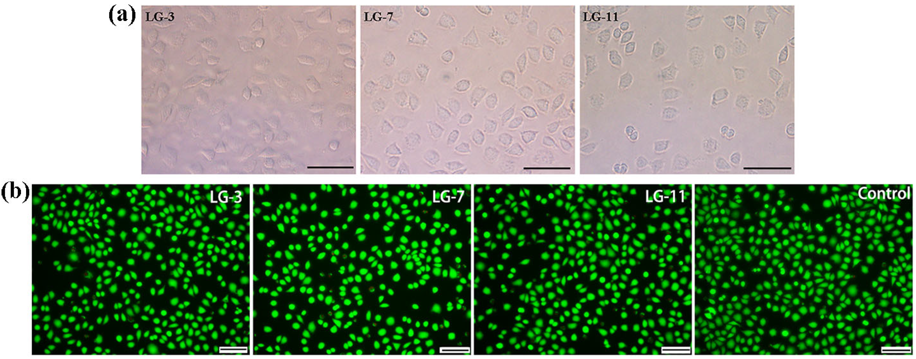 Molecules 29 05435 g011