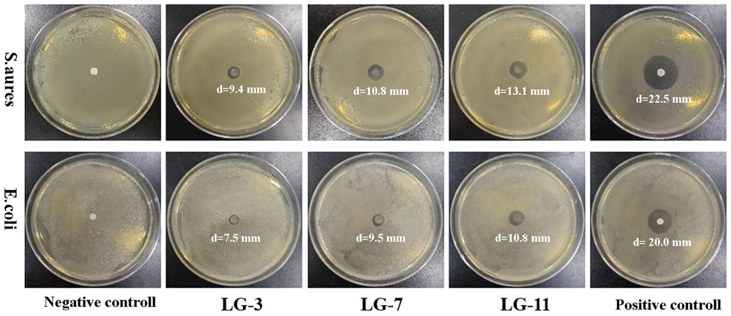 Molecules 29 05435 g013