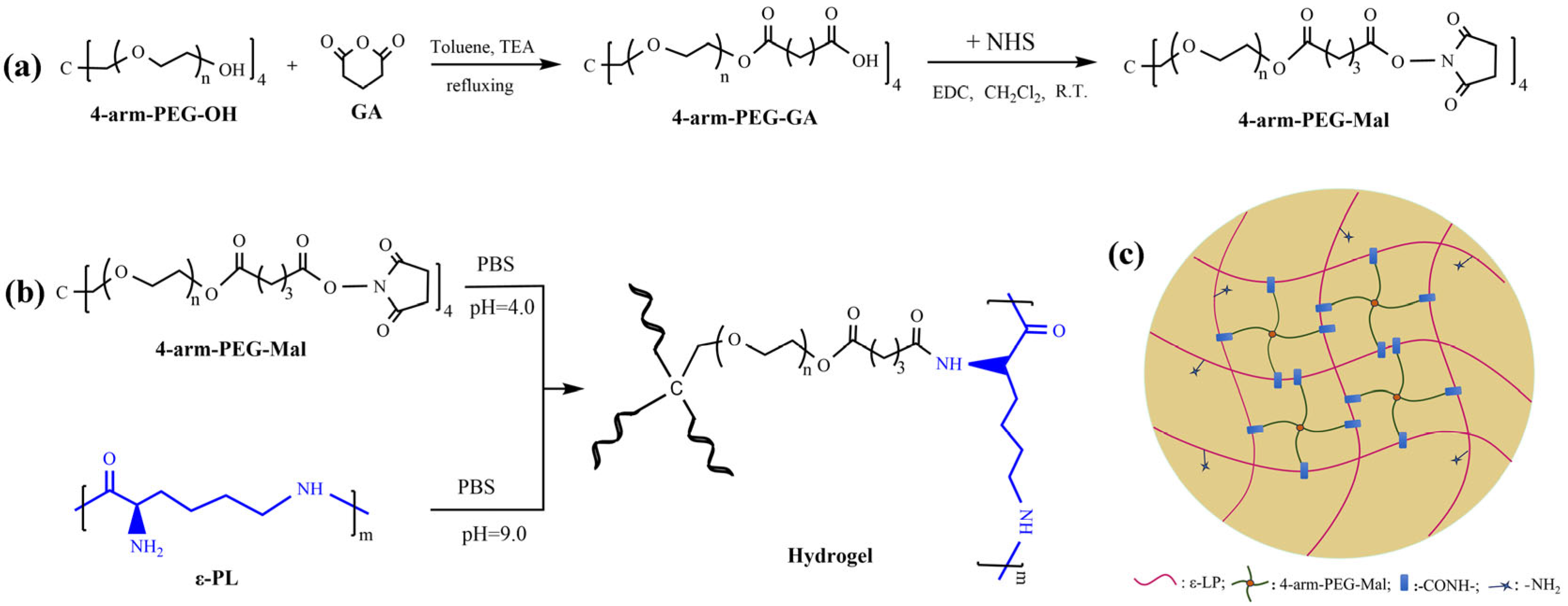 Molecules 29 05435 g014
