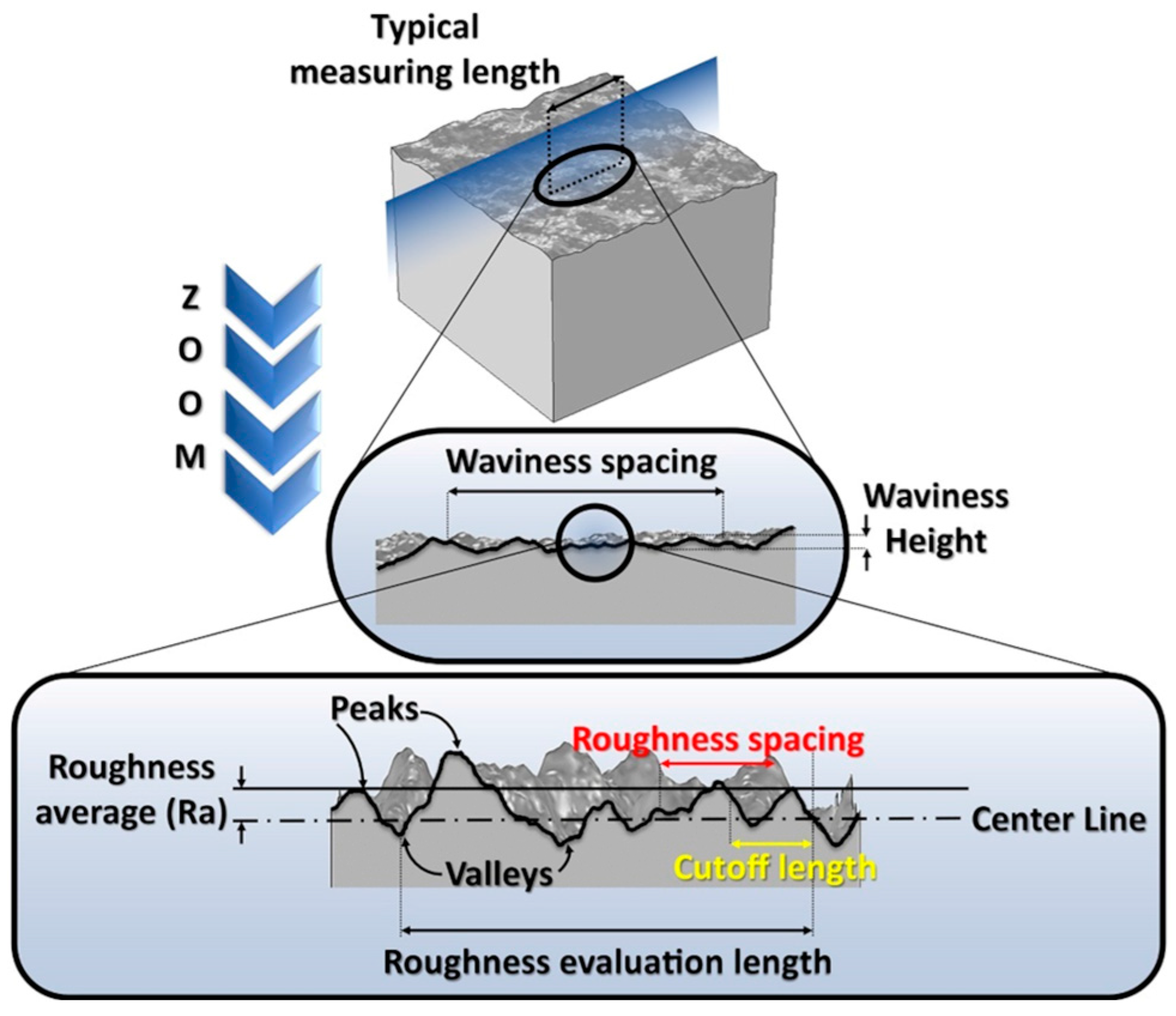 Molecules 29 05436 g001