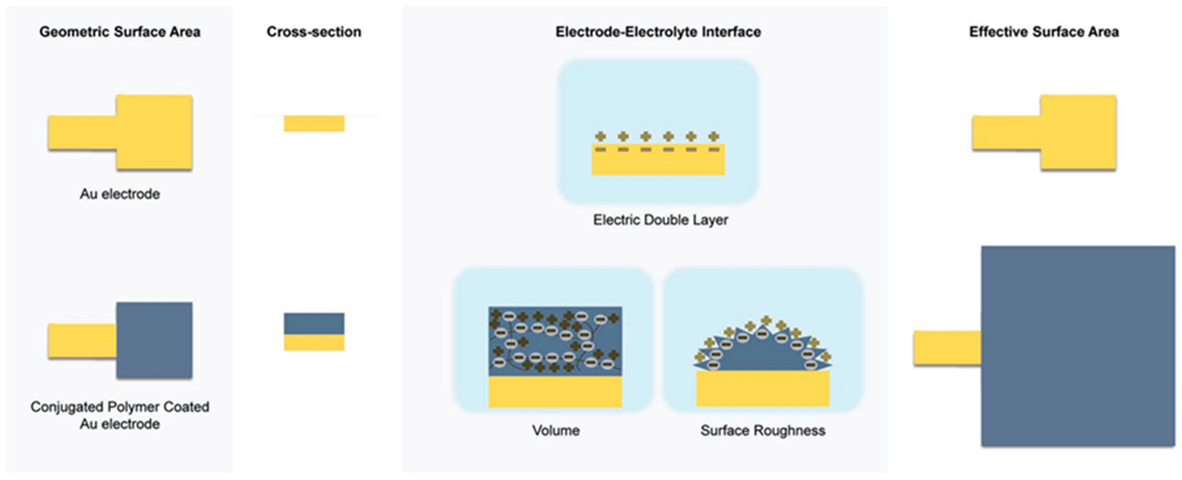 Molecules 29 05436 g002