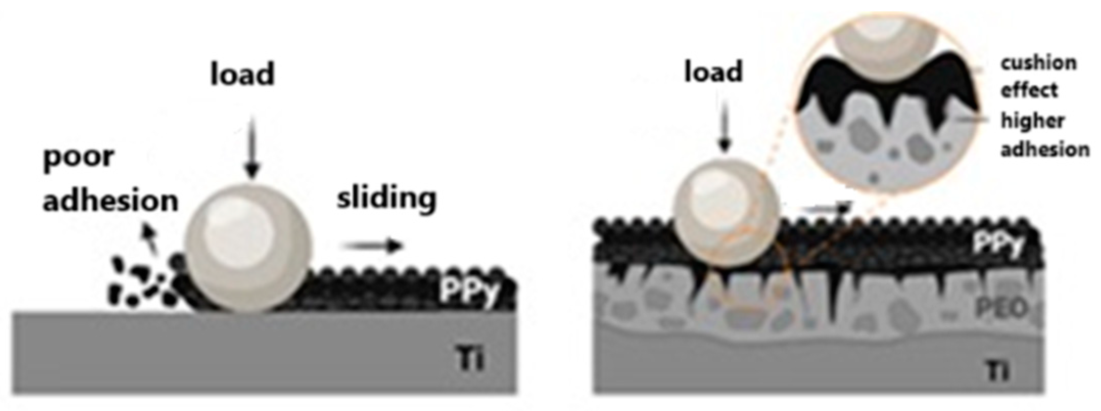 Molecules 29 05436 g006