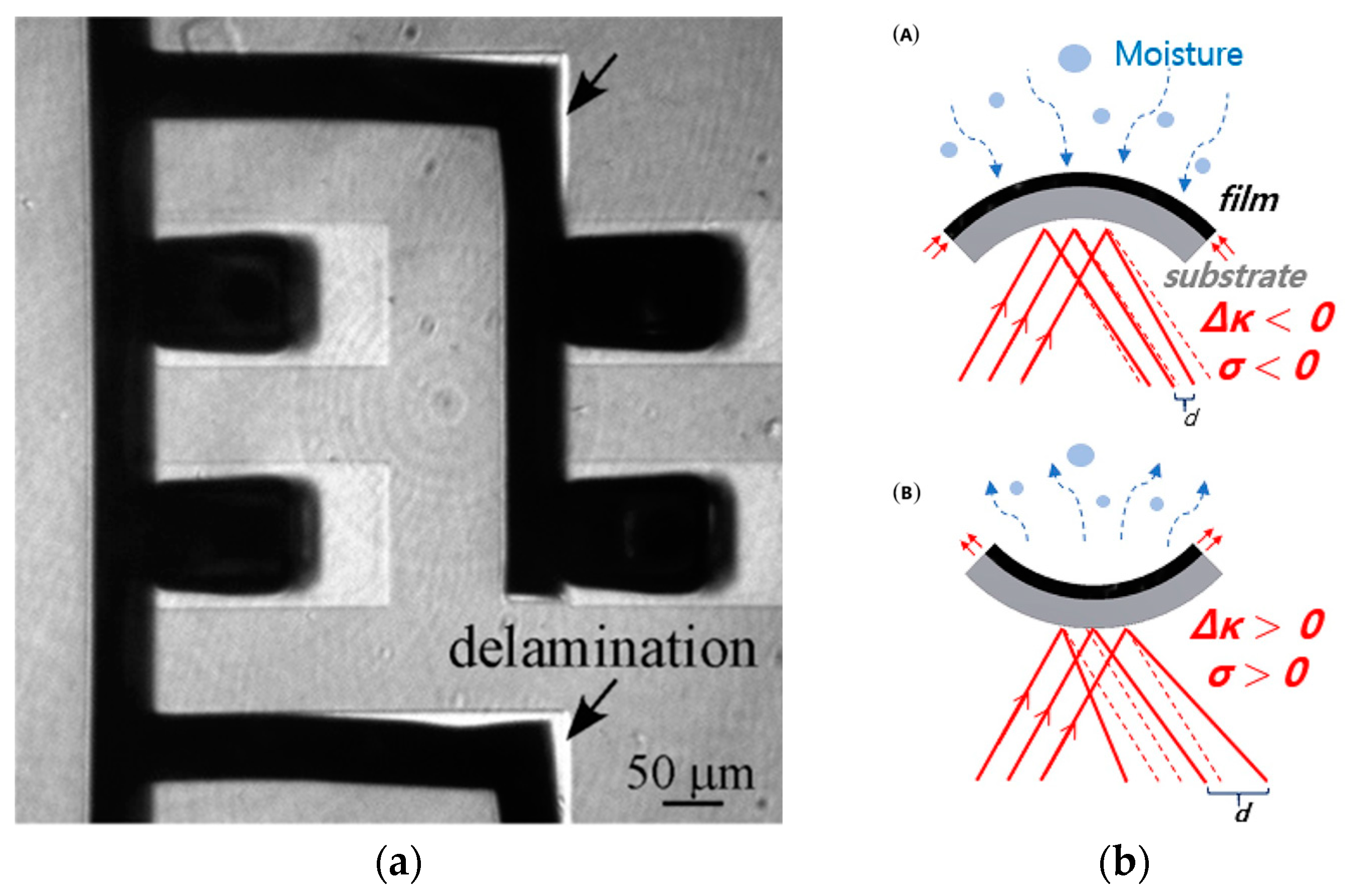 Molecules 29 05436 g007