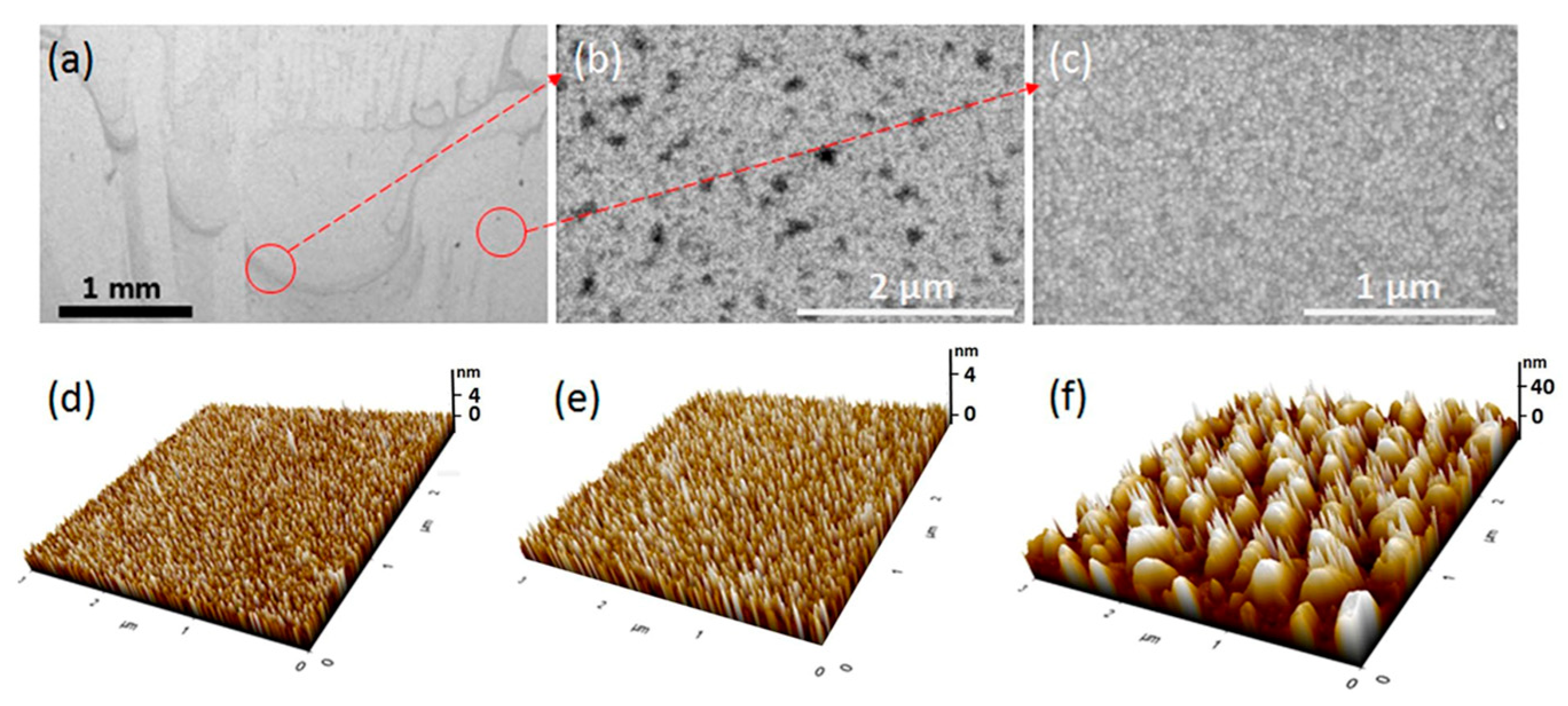 Molecules 29 05436 g010