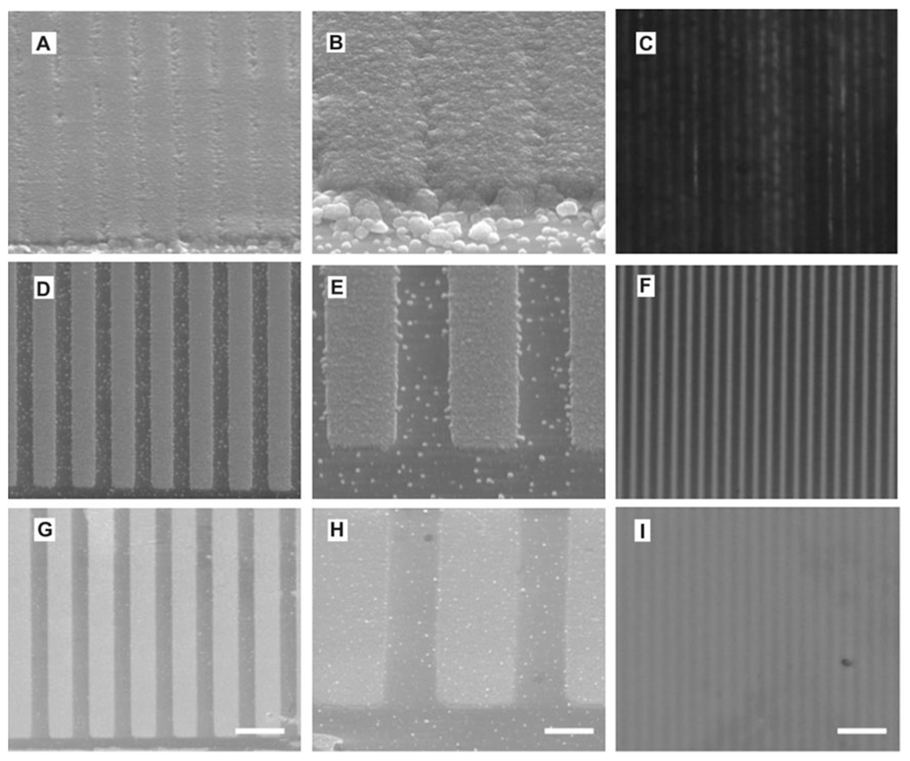Molecules 29 05436 g016
