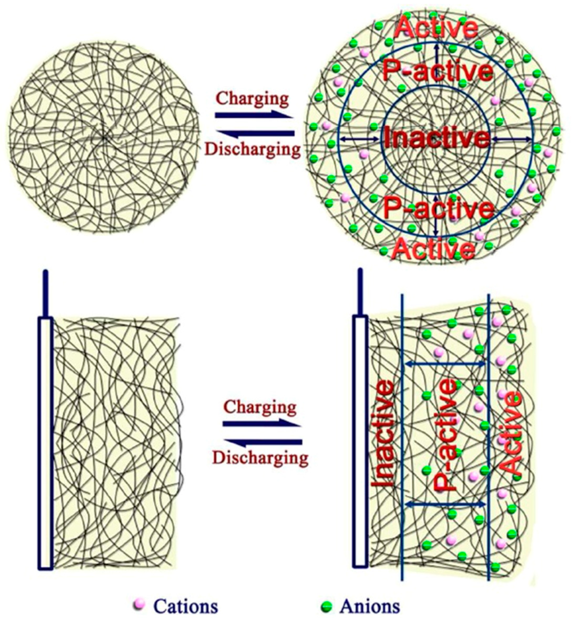 Molecules 29 05436 g021