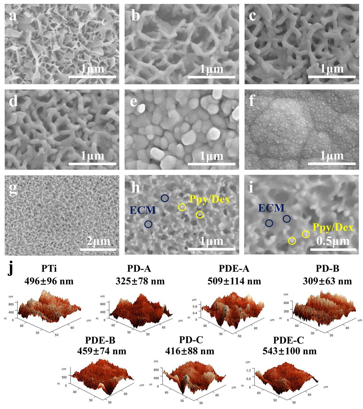 Molecules 29 05436 g024