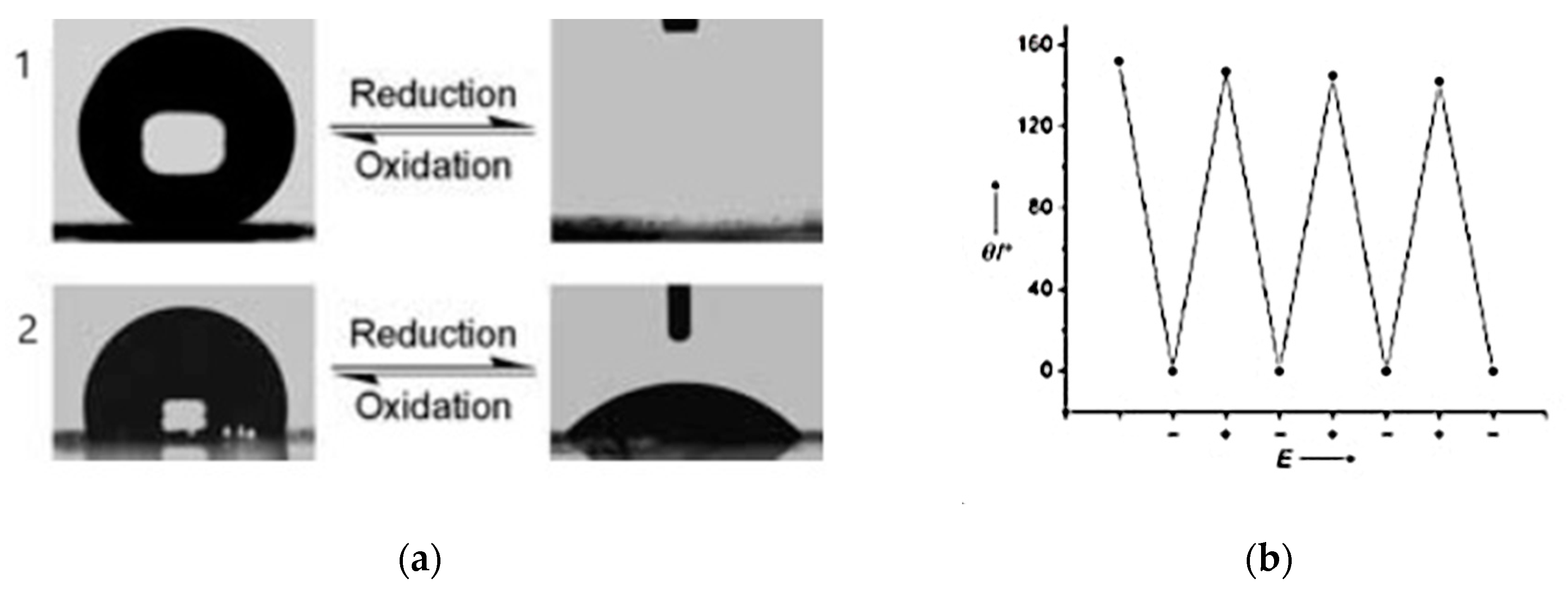 Molecules 29 05436 g026