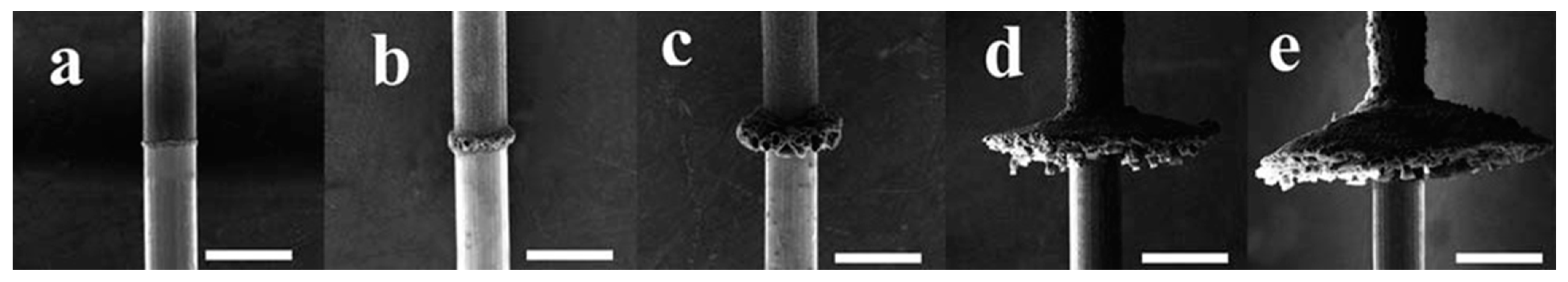 Molecules 29 05436 g027