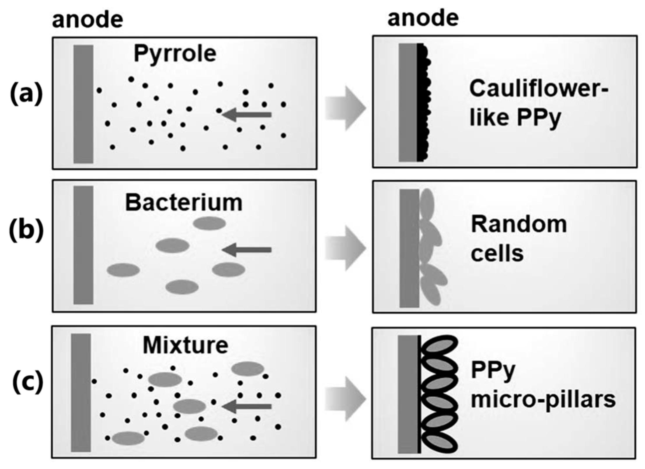 Molecules 29 05436 g028