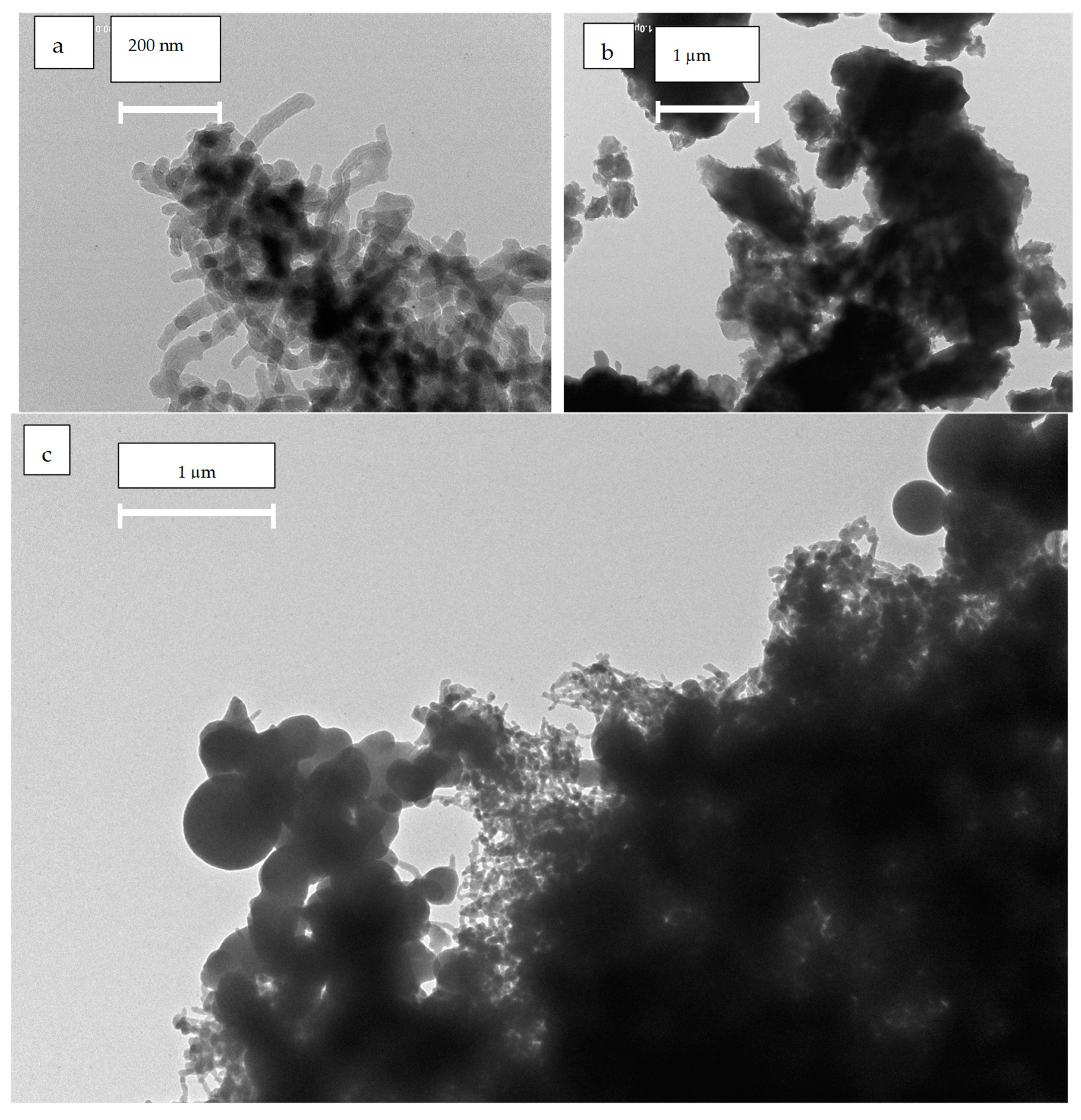 Molecules 29 05439 g003