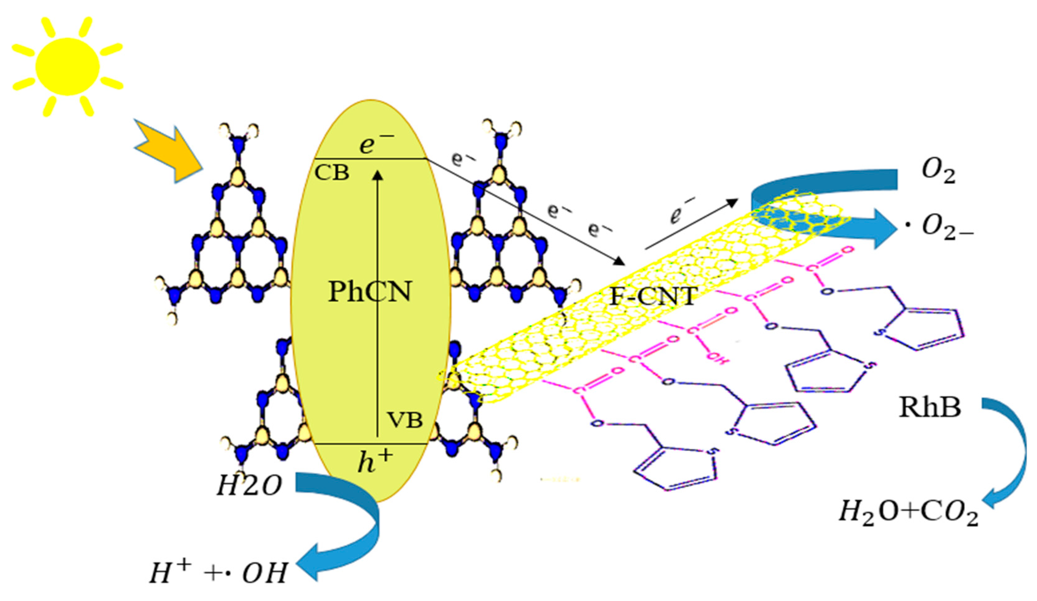 Molecules 29 05439 g007