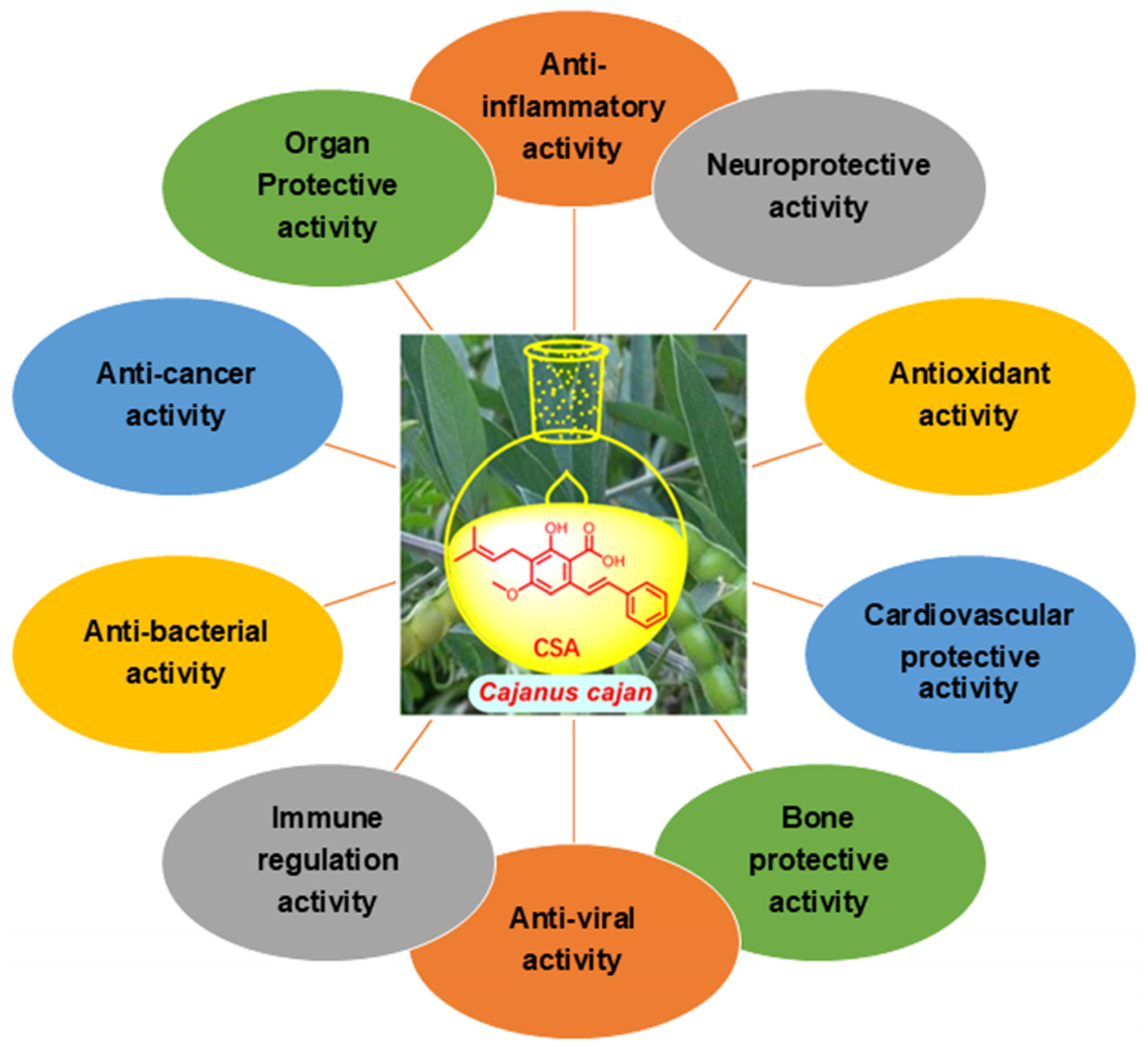 Molecules 29 05440 g001 Molecules 29 05440 g001