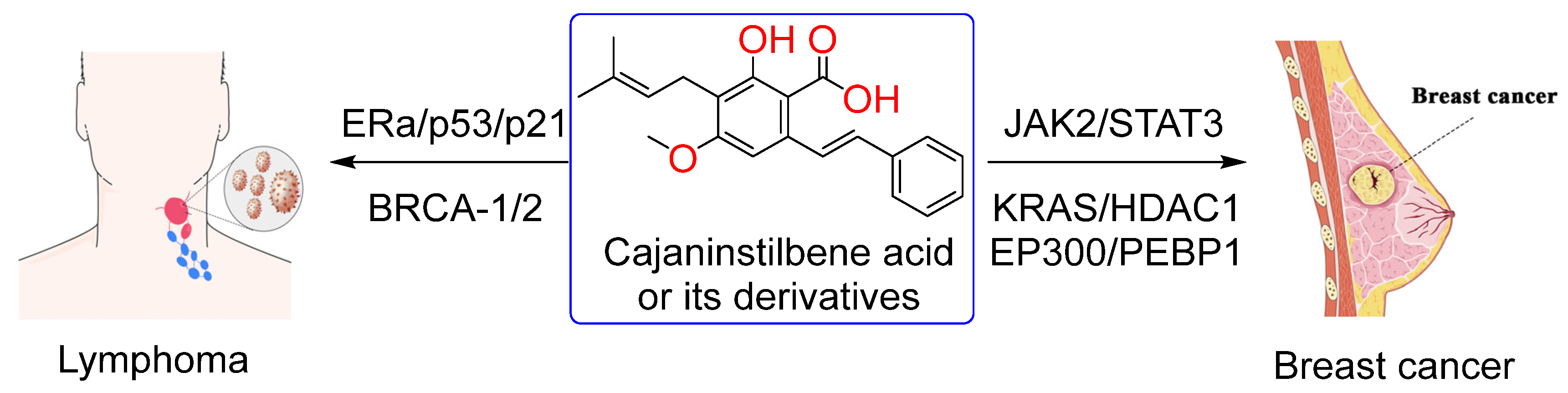 Molecules 29 05440 g002 Molecules 29 05440 g002