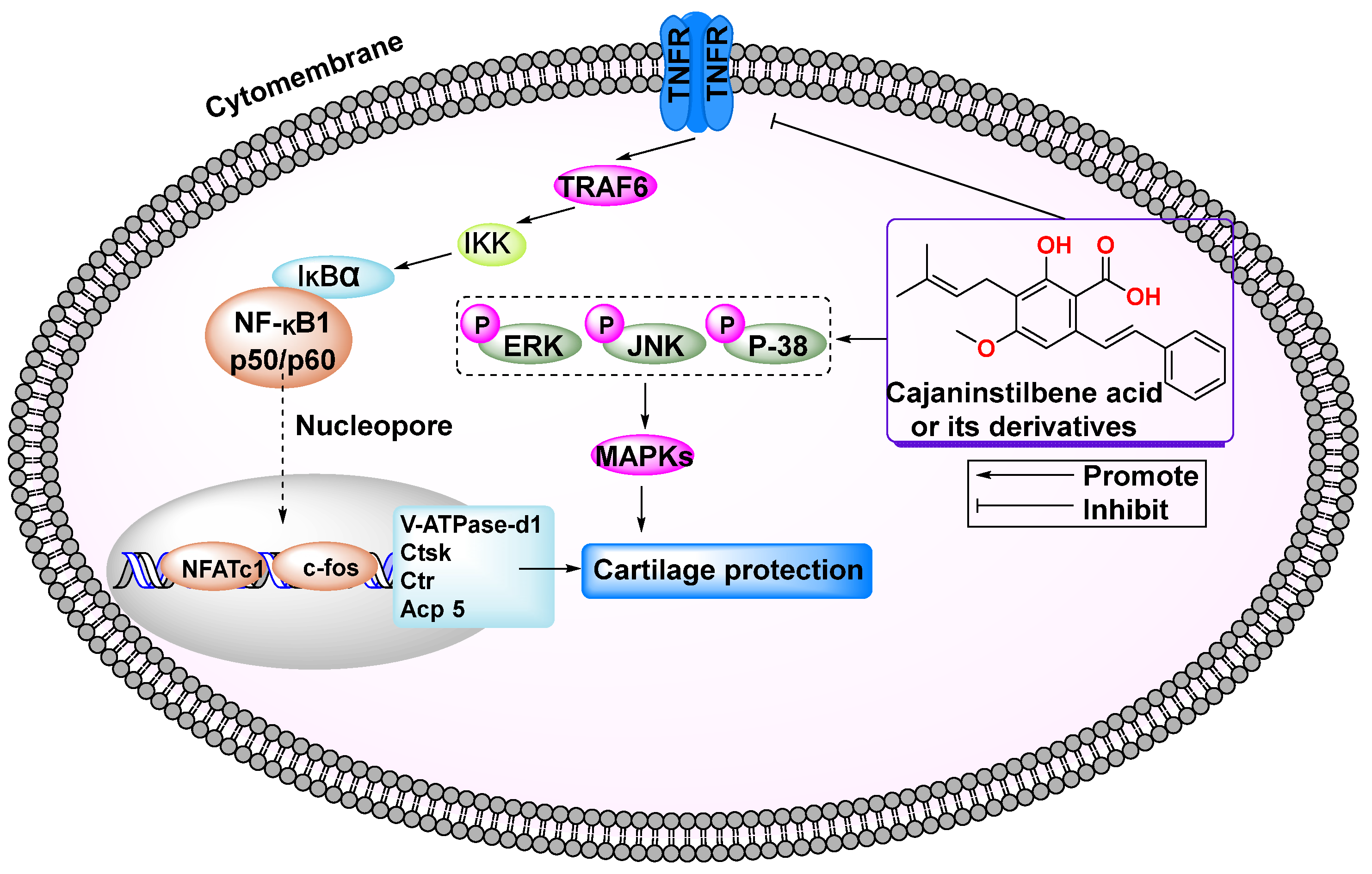Molecules 29 05440 g006 Molecules 29 05440 g006