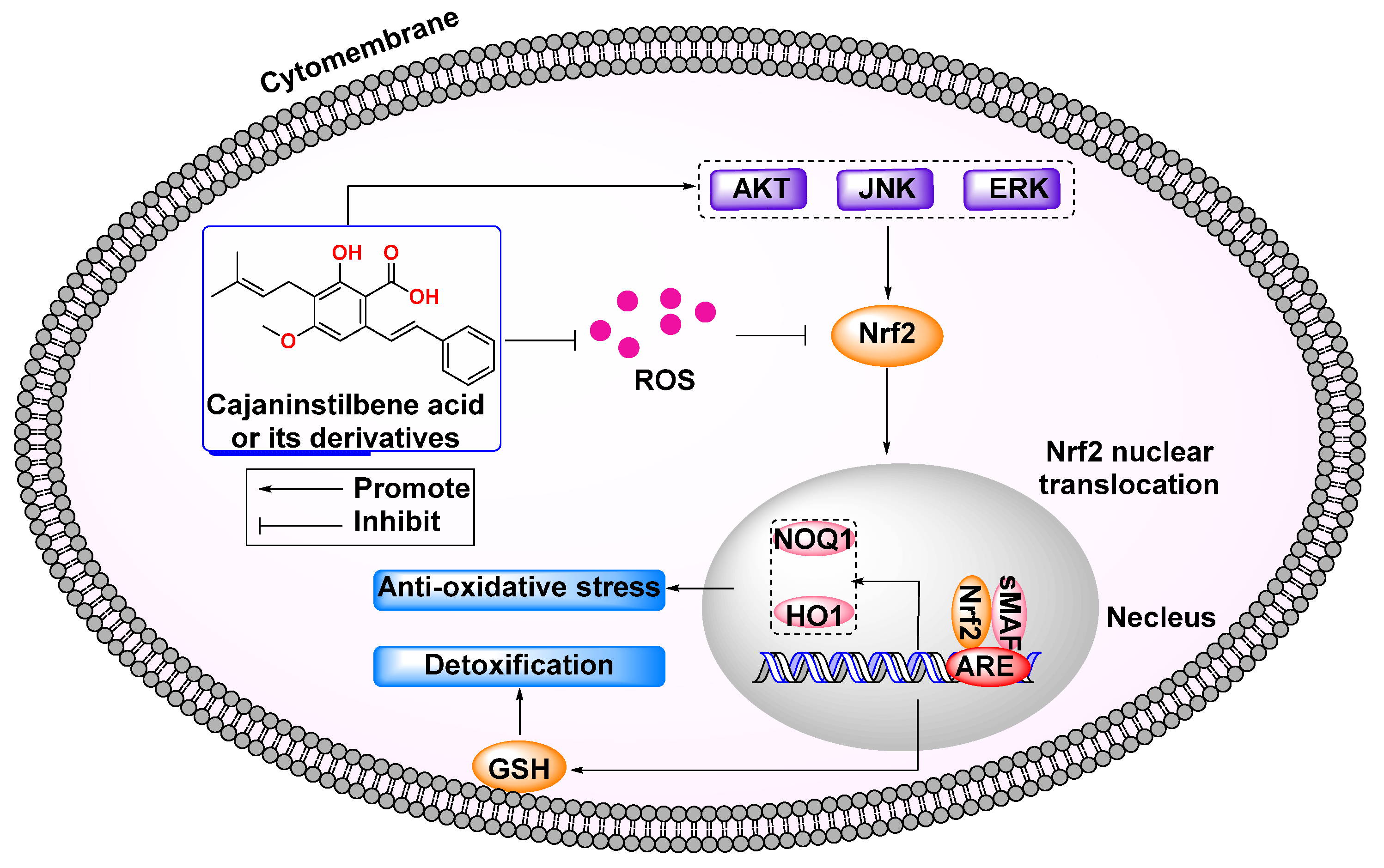 Molecules 29 05440 g009 Molecules 29 05440 g009