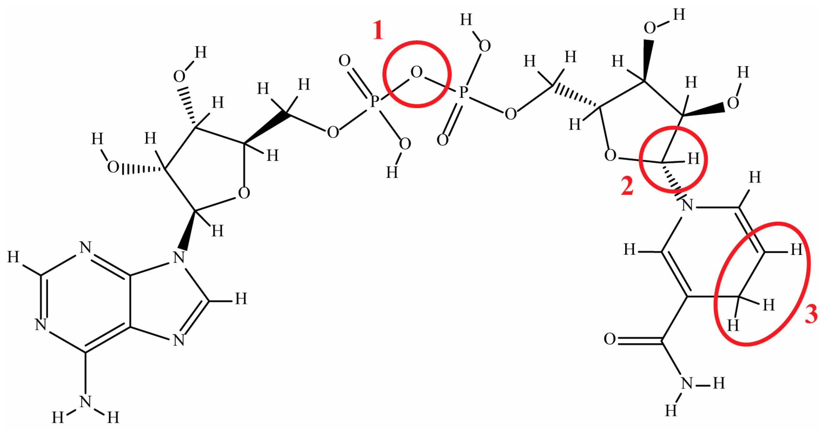 Molecules 29 05453 g002