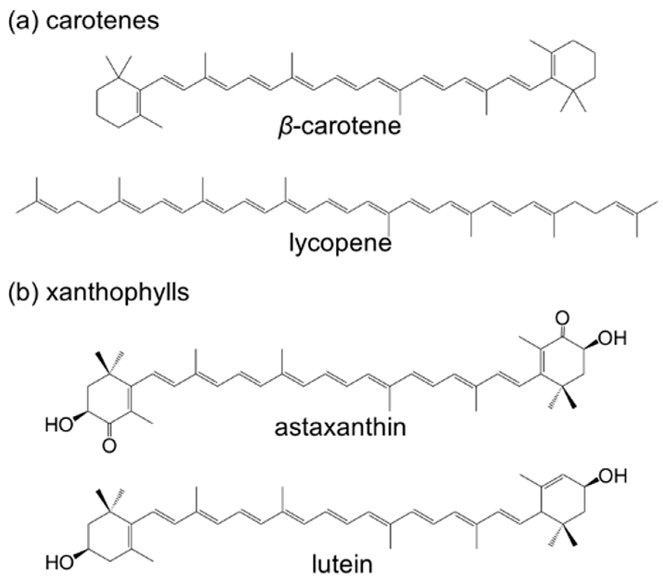 Molecules 29 05456 g001 Molecules 29 05456 g001