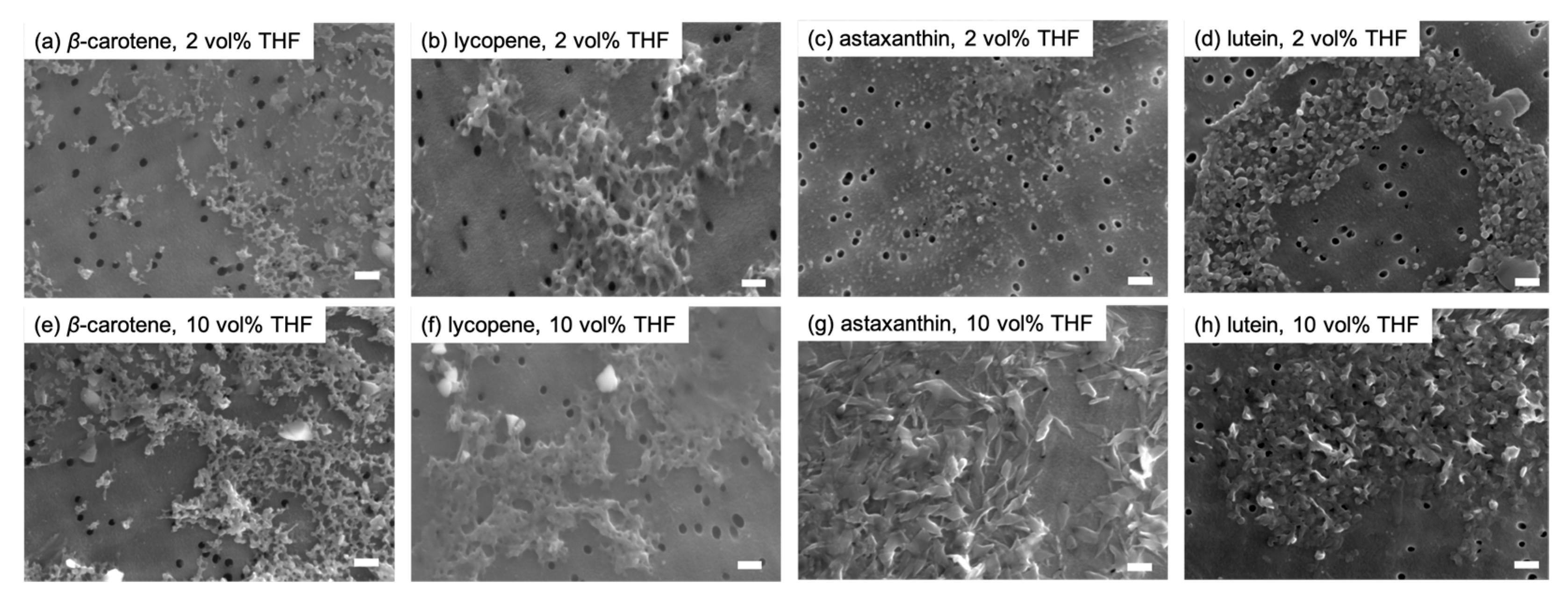 Molecules 29 05456 g004 Molecules 29 05456 g004