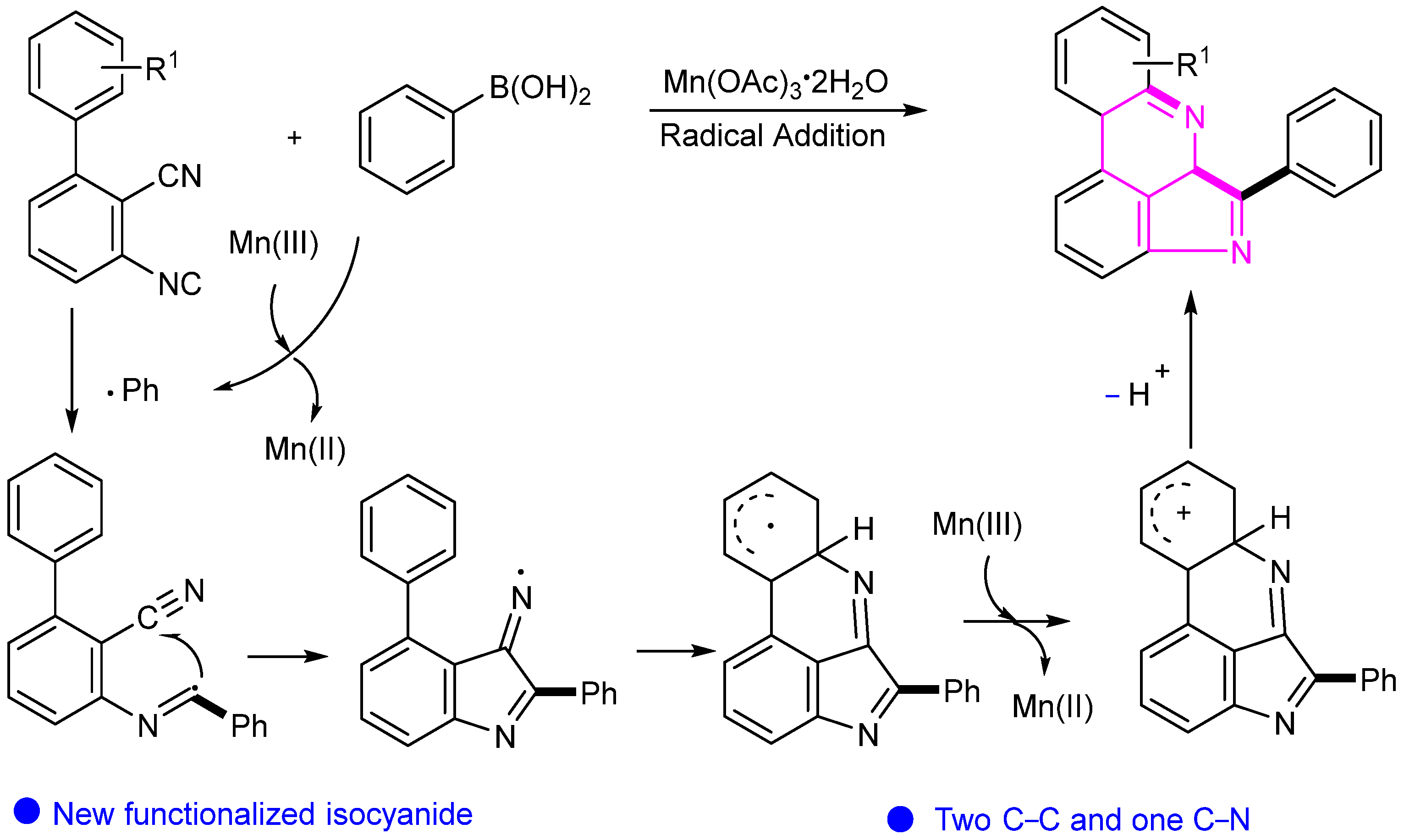 Molecules 29 05458 sch004