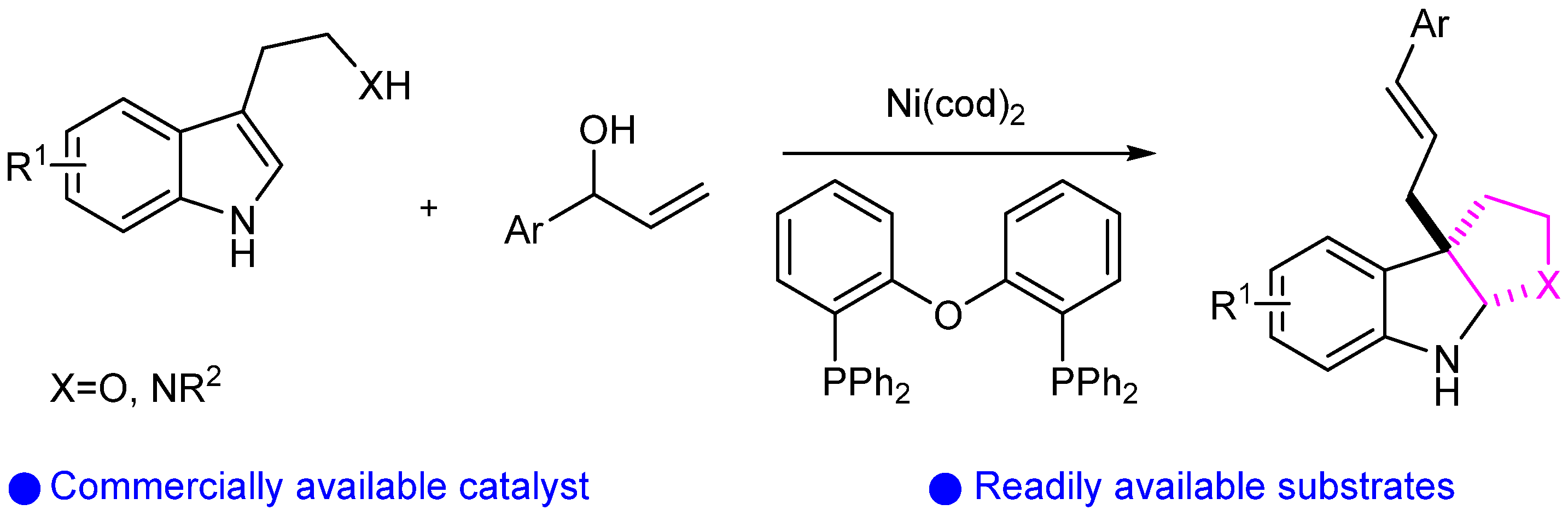 Molecules 29 05458 sch014