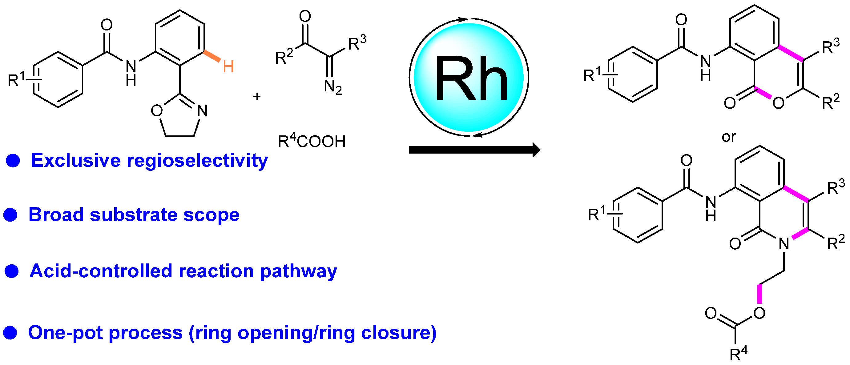 Molecules 29 05458 sch024