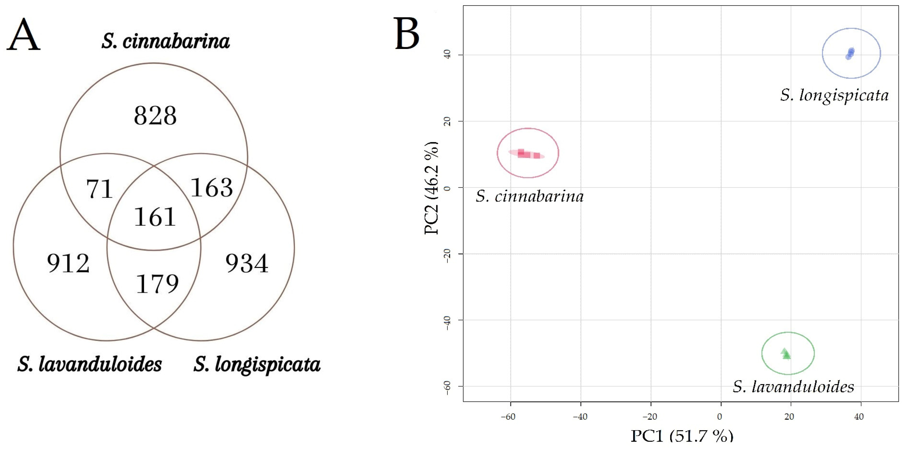 Molecules 29 05465 g001