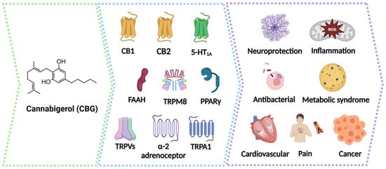 Molecules 29 05471 g002