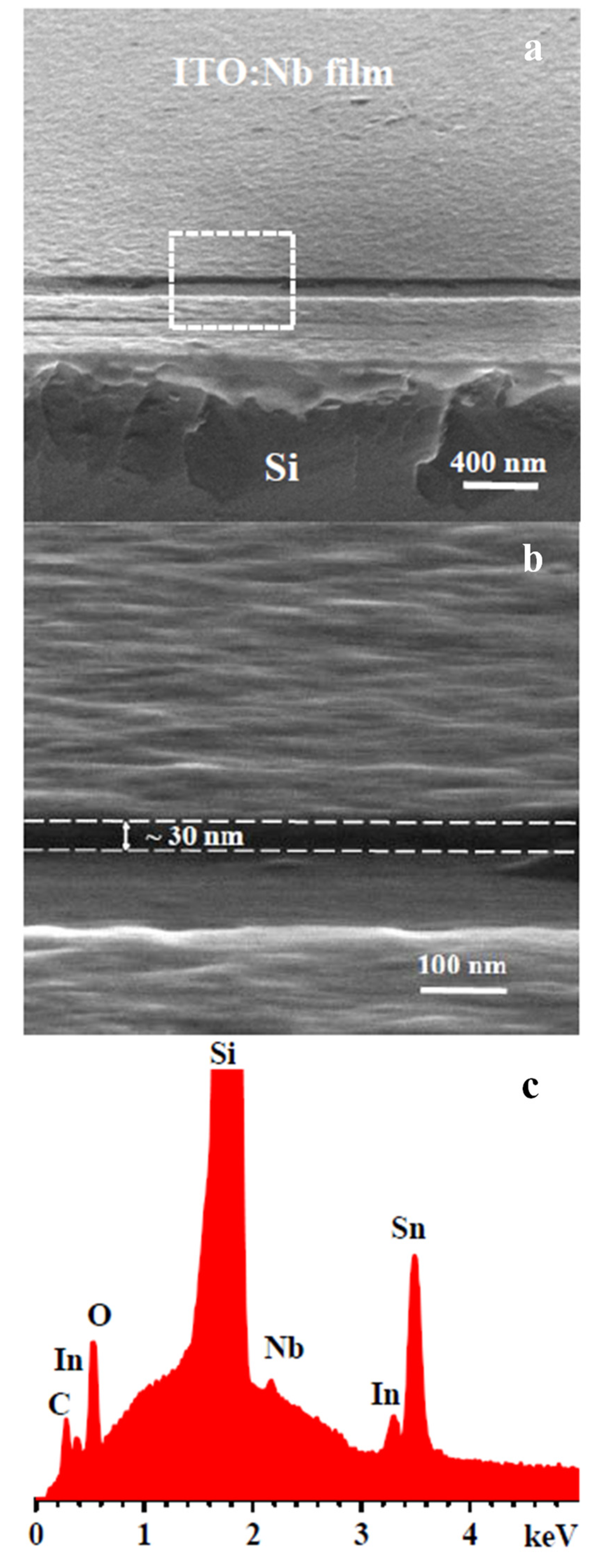 Molecules 29 05480 g005 Molecules 29 05480 g005