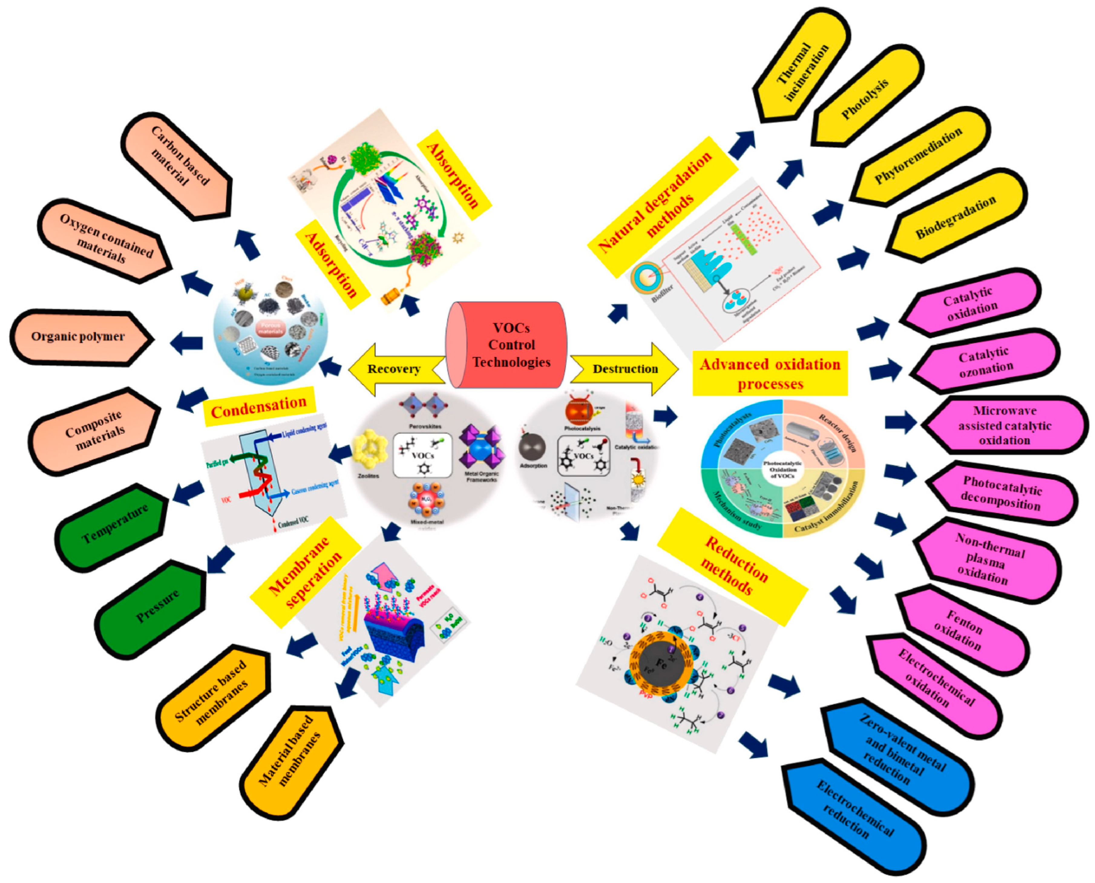 Molecules 29 05484 g002