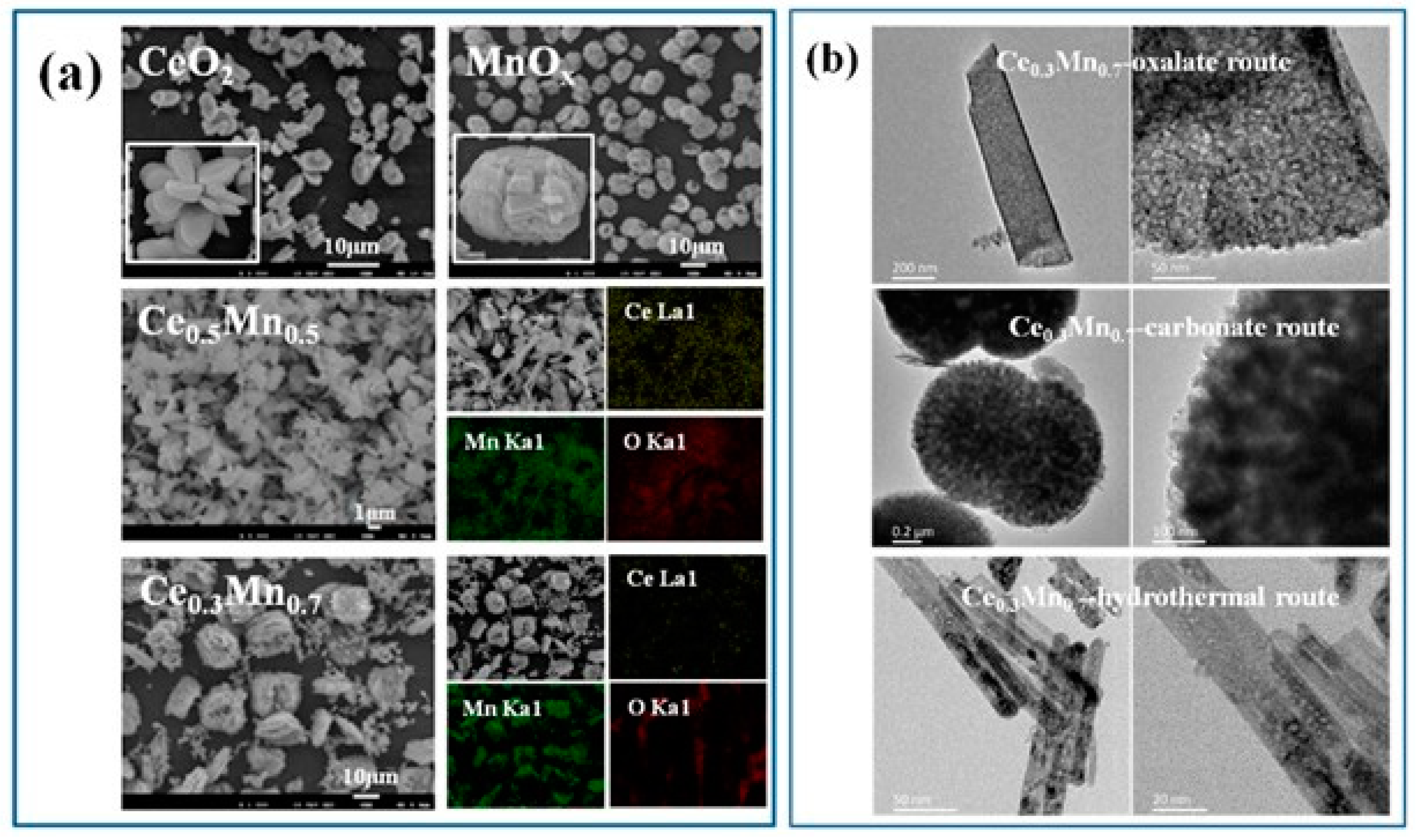 Molecules 29 05484 g010