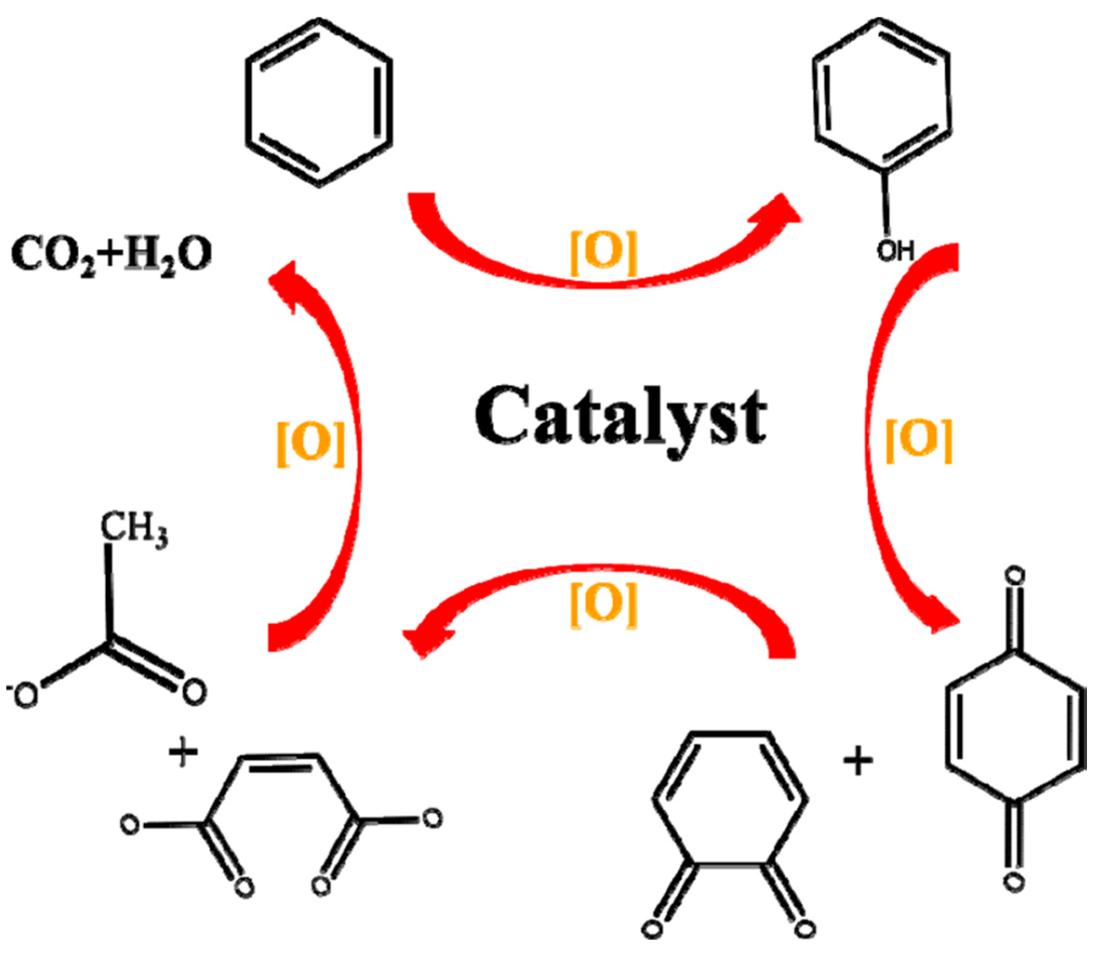 Molecules 29 05484 g012