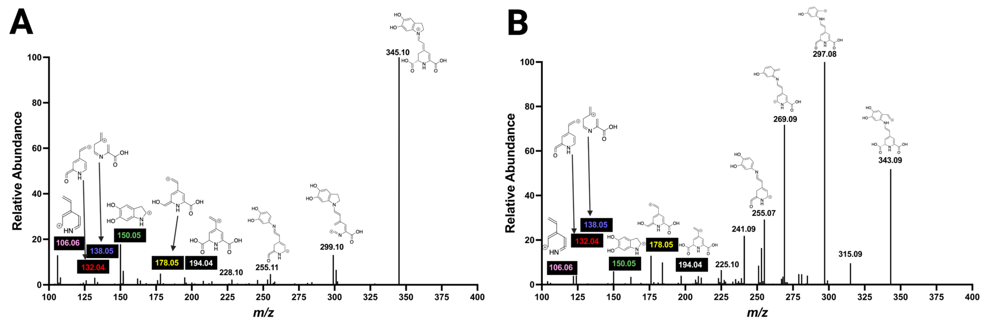 Molecules 29 05485 g005