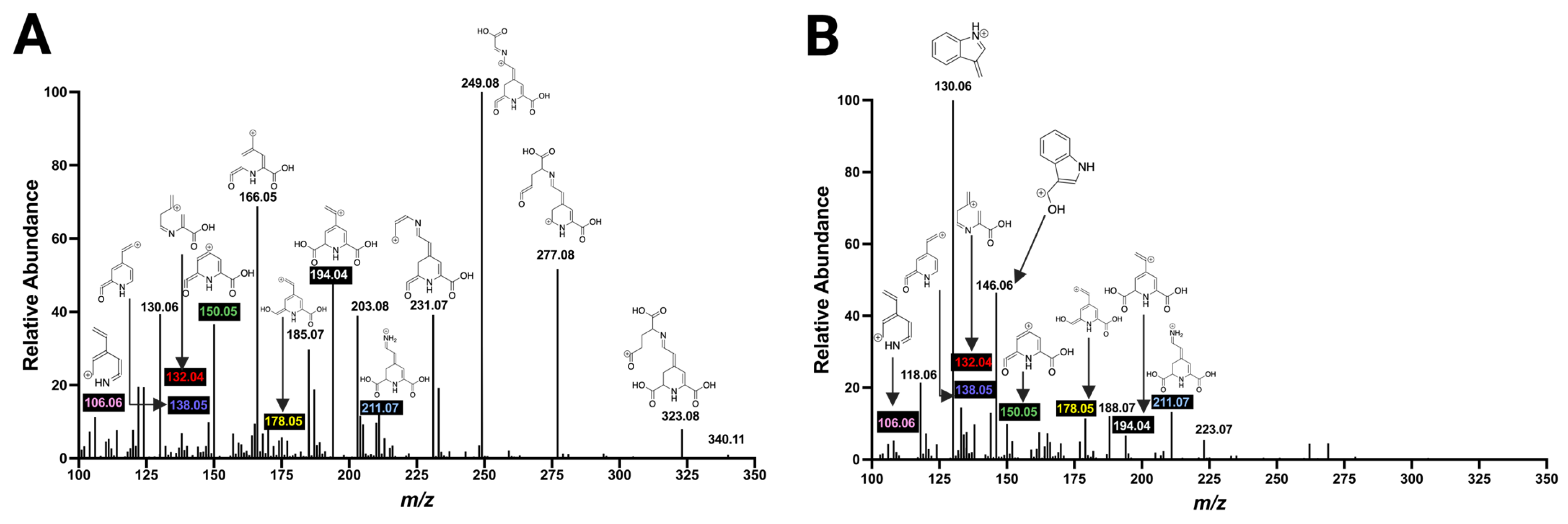 Molecules 29 05485 g006
