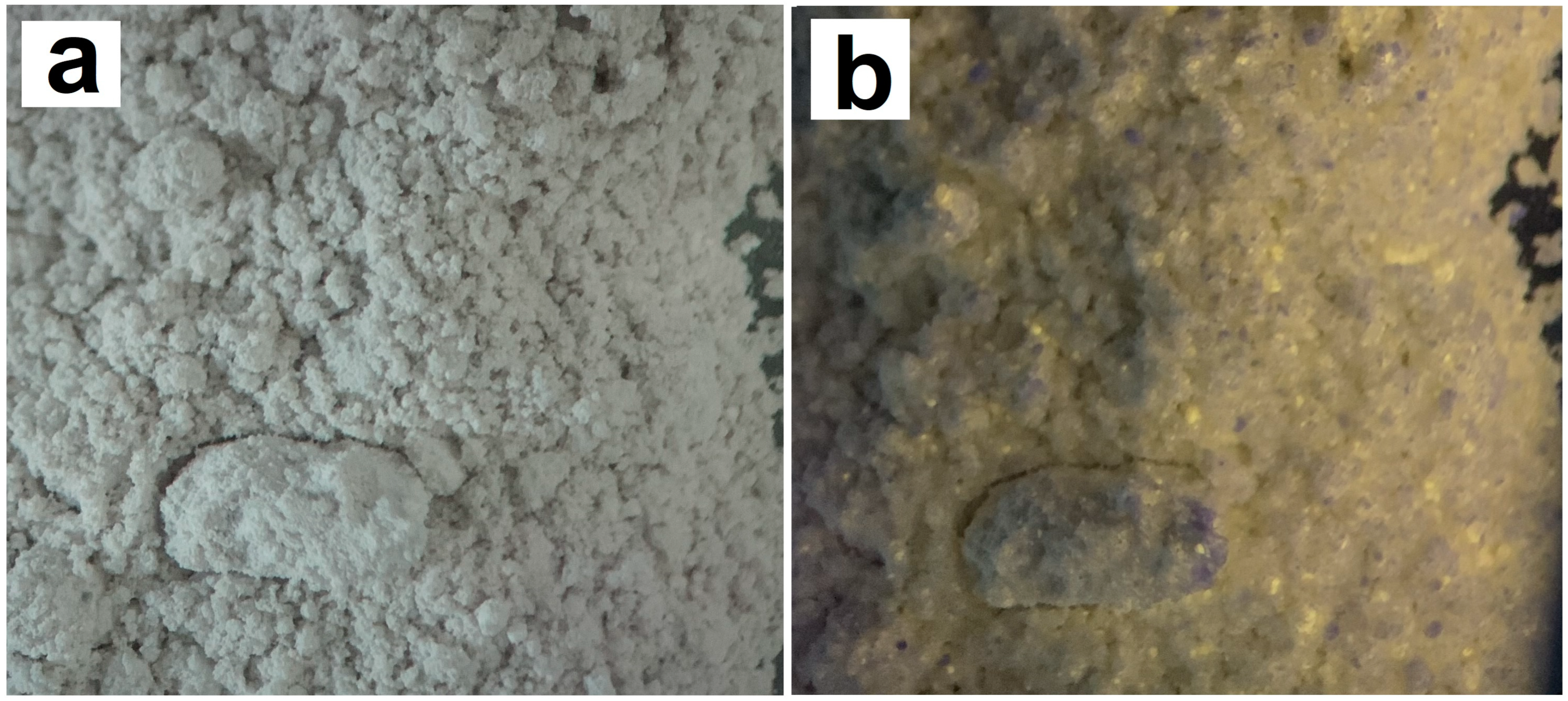 Molecules 29 05486 g014