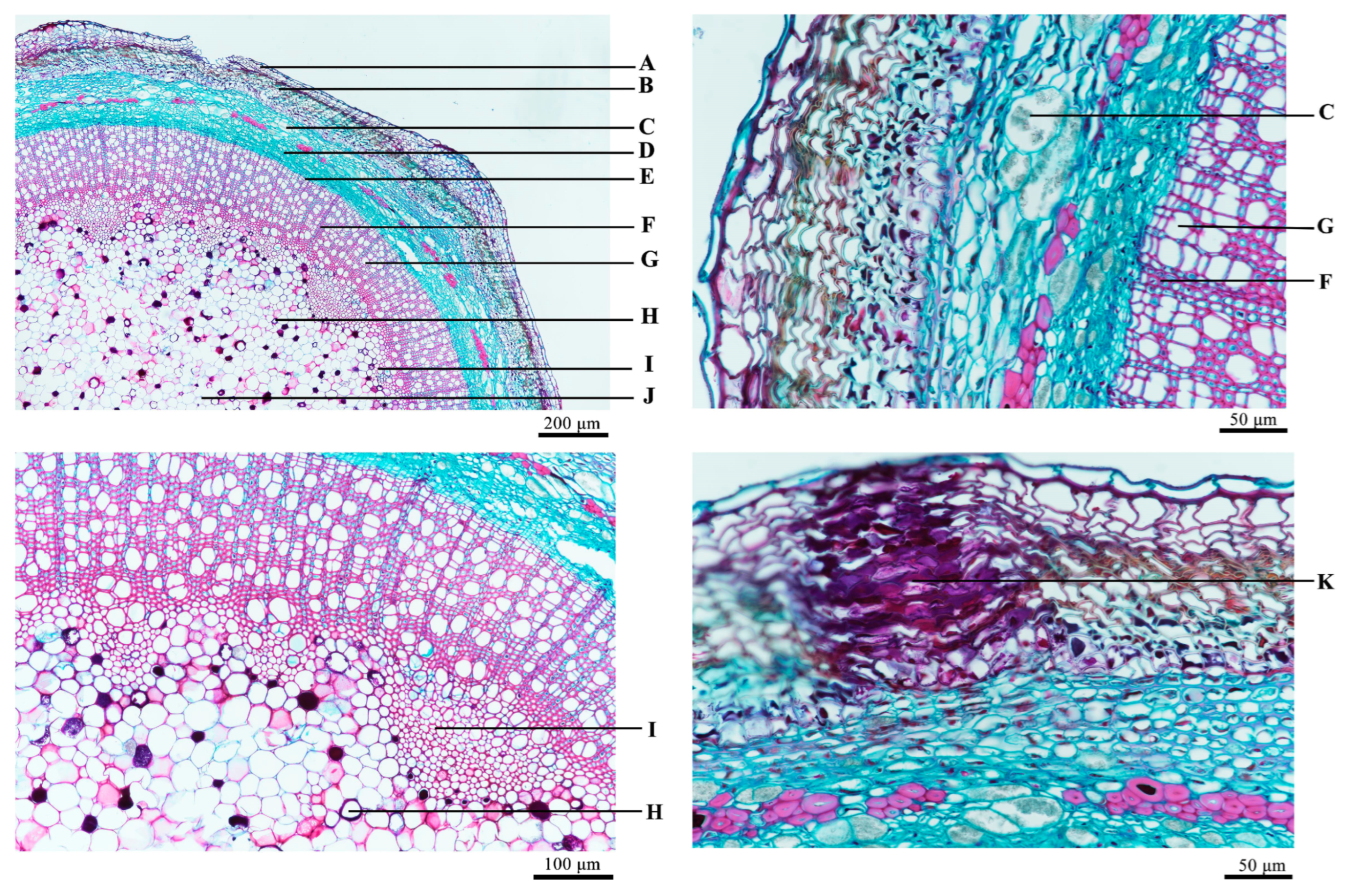 Molecules 29 05503 g002
