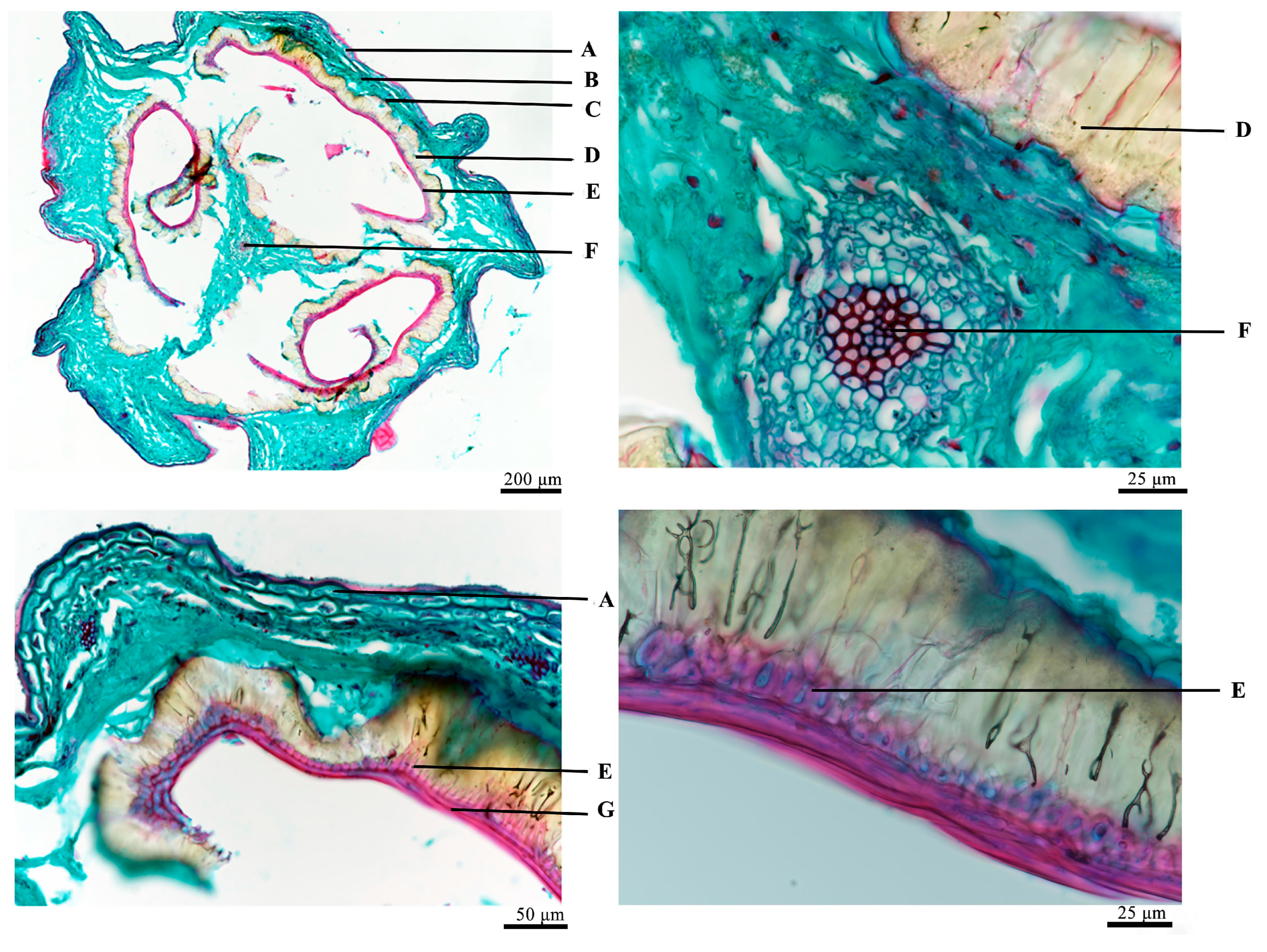 Molecules 29 05503 g004