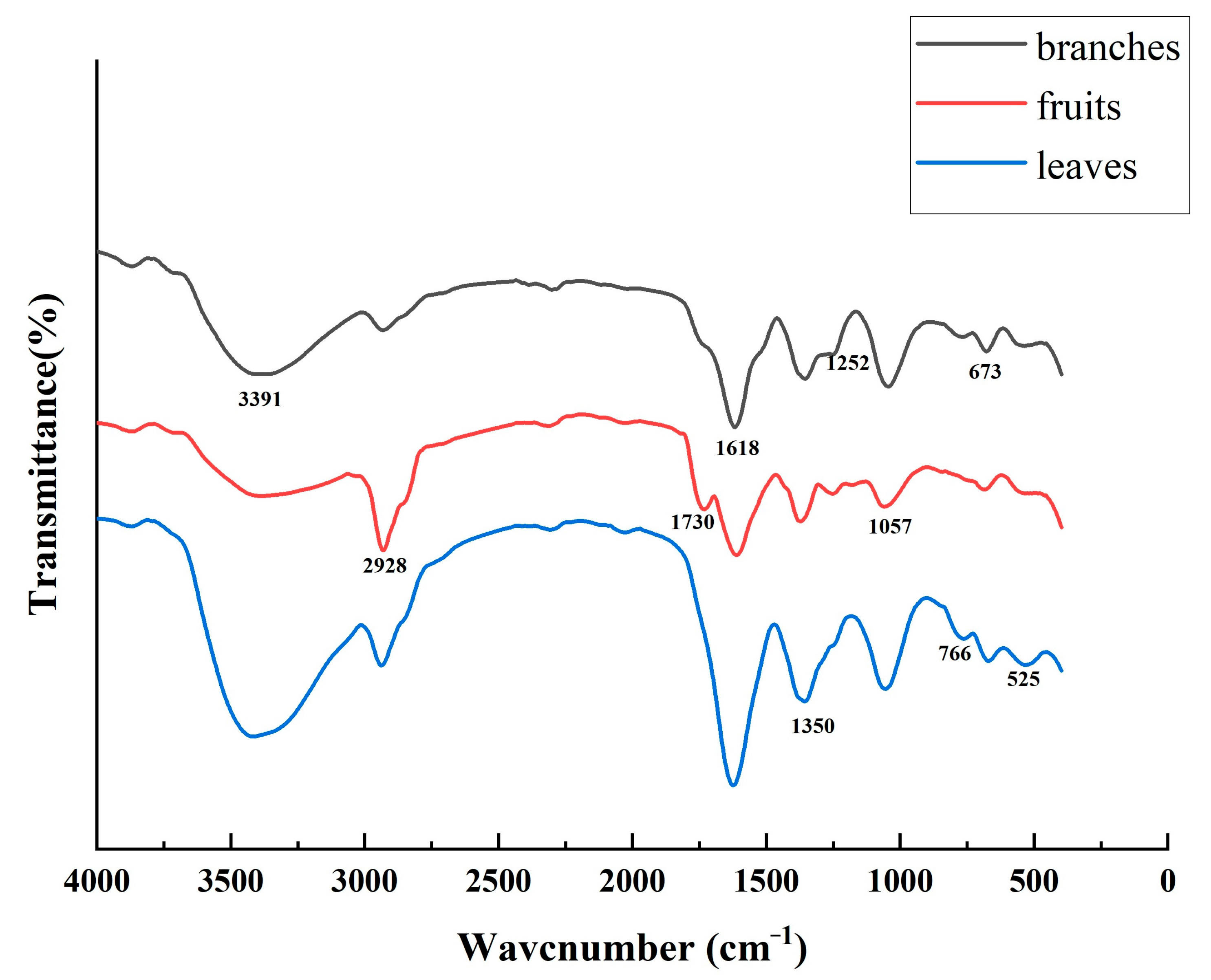 Molecules 29 05503 g008
