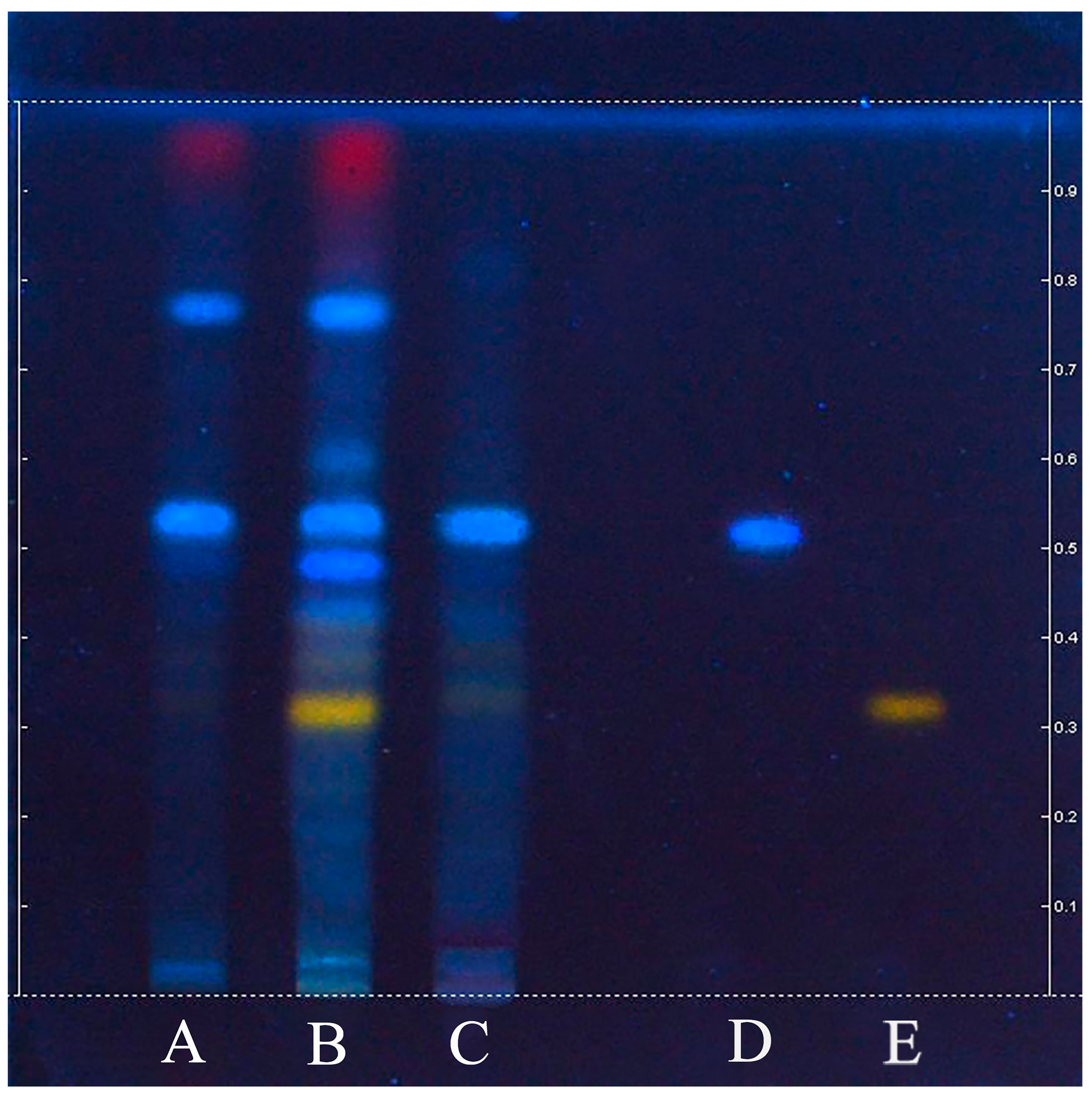 Molecules 29 05503 g009