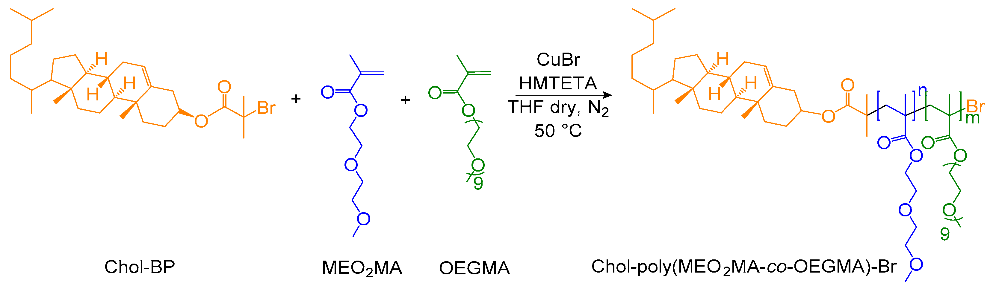 Molecules 29 05511 g001