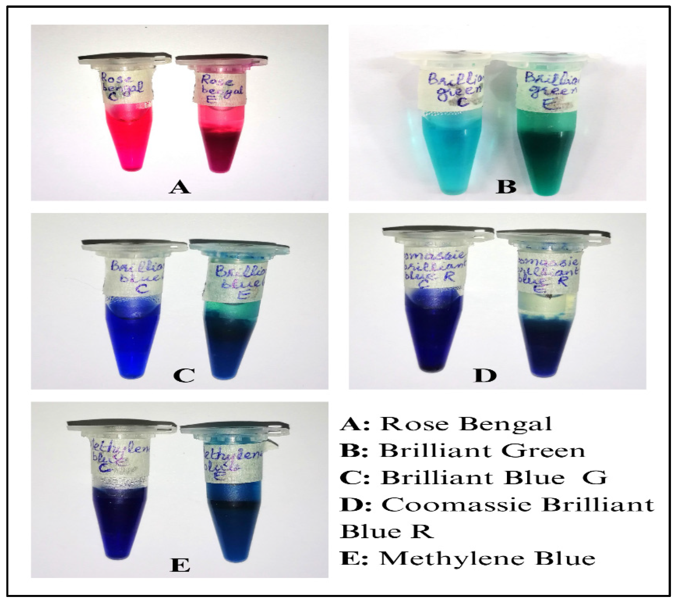 Molecules 29 05514 g007