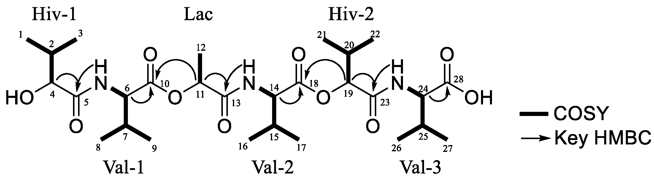 Molecules 29 05539 g002