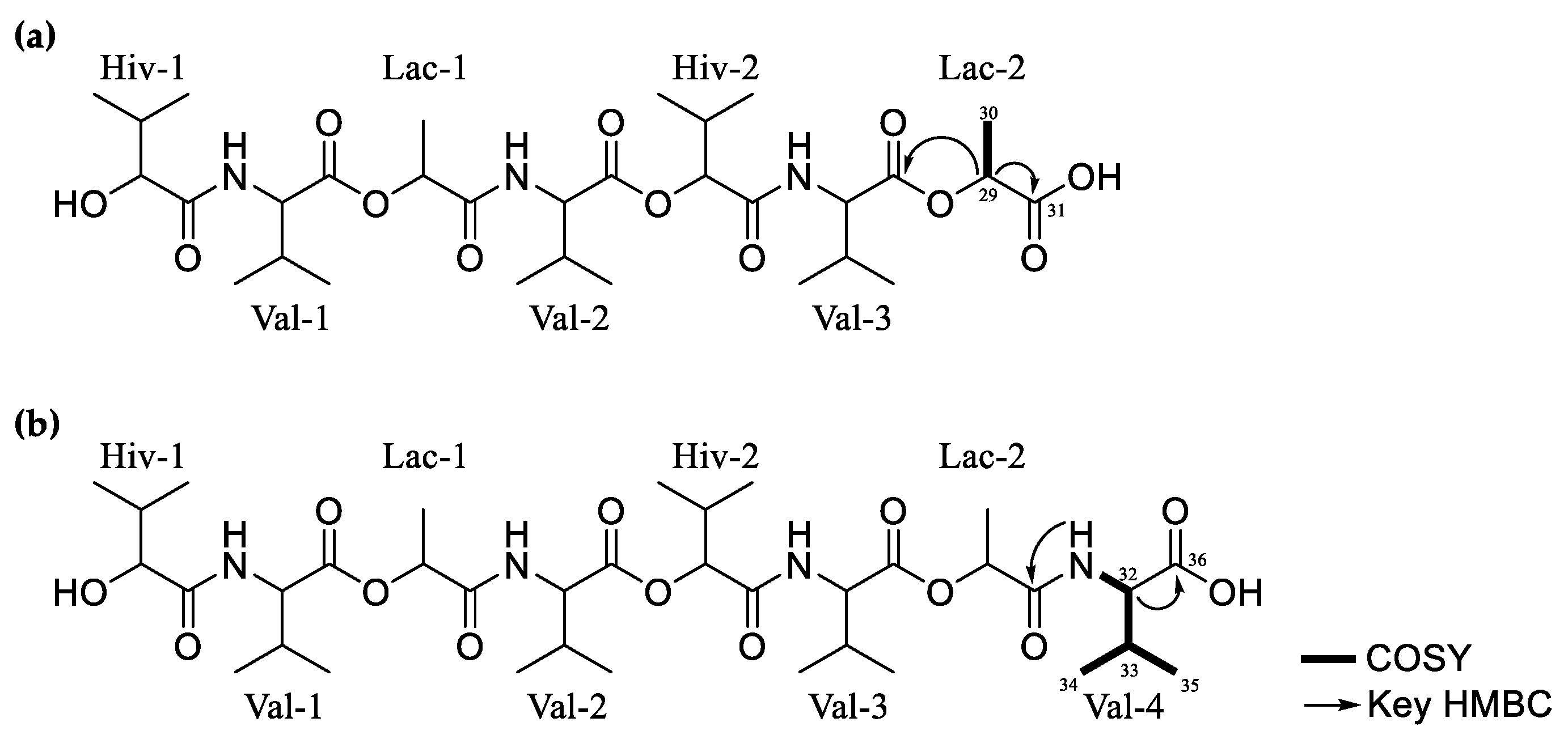Molecules 29 05539 g003