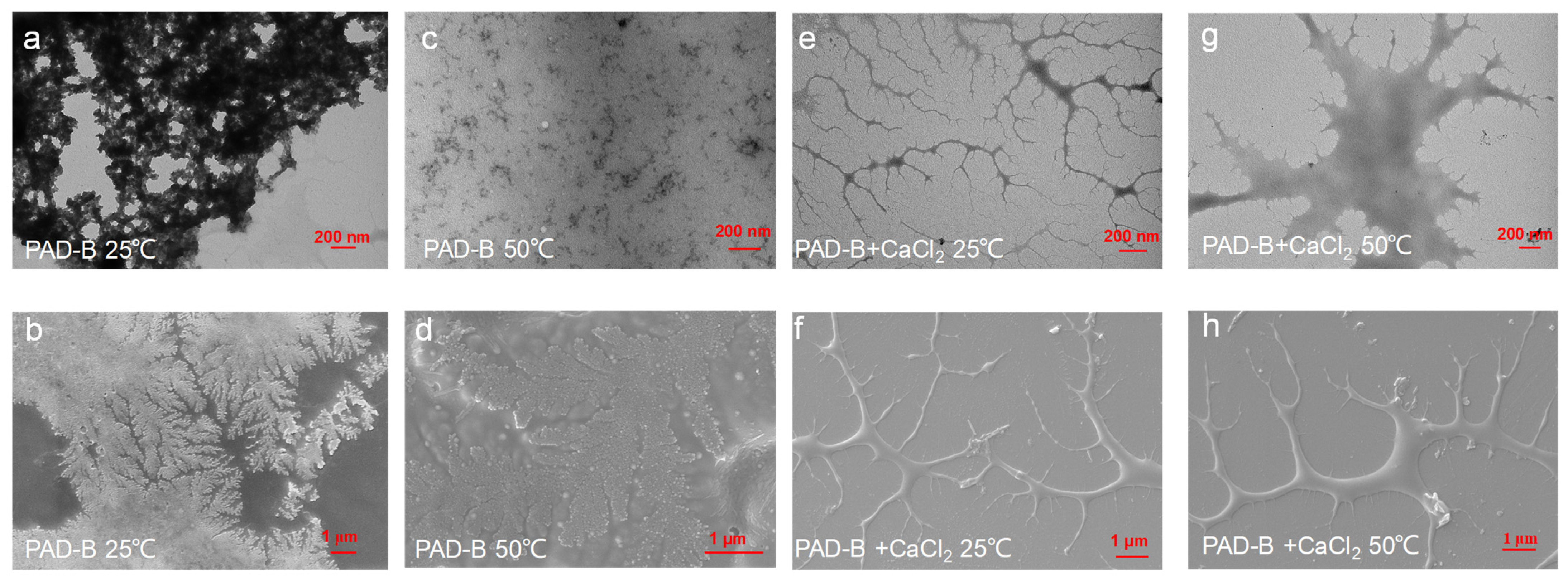 Molecules 29 05542 g008
