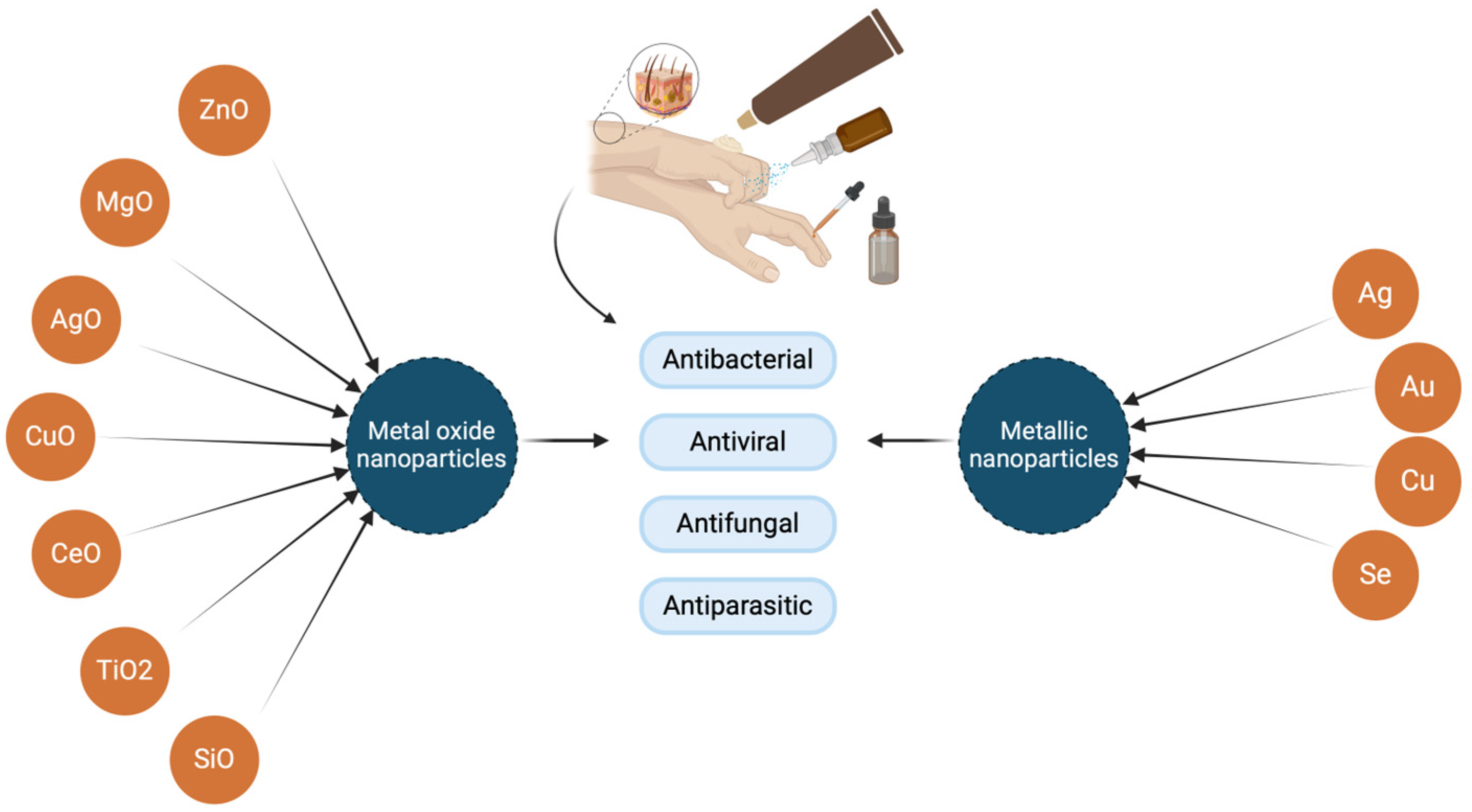 Molecules 29 05551 g002