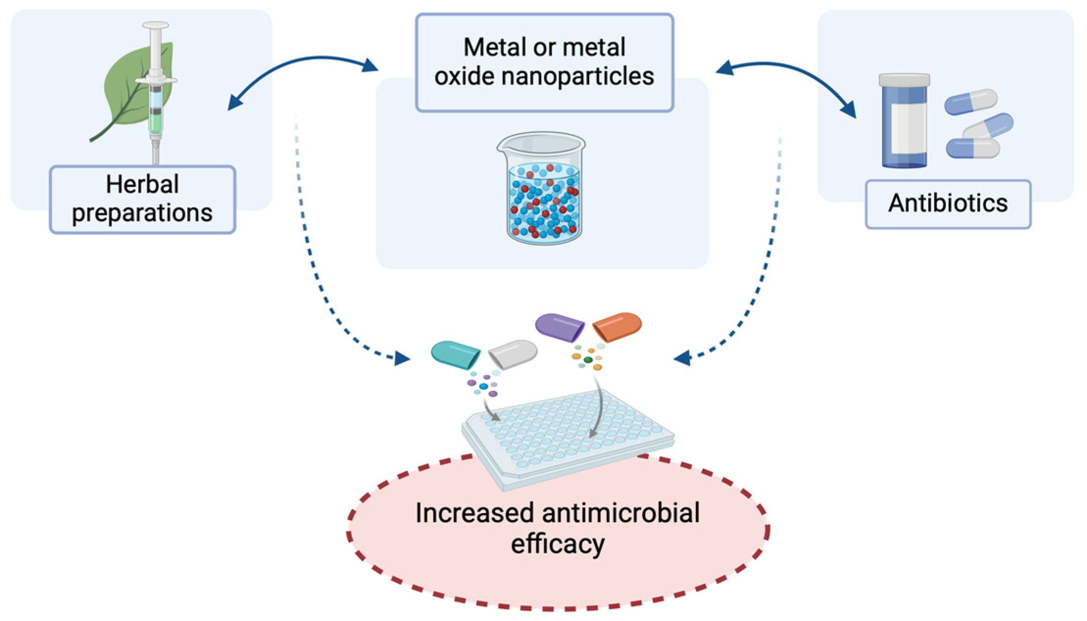 Molecules 29 05551 g003
