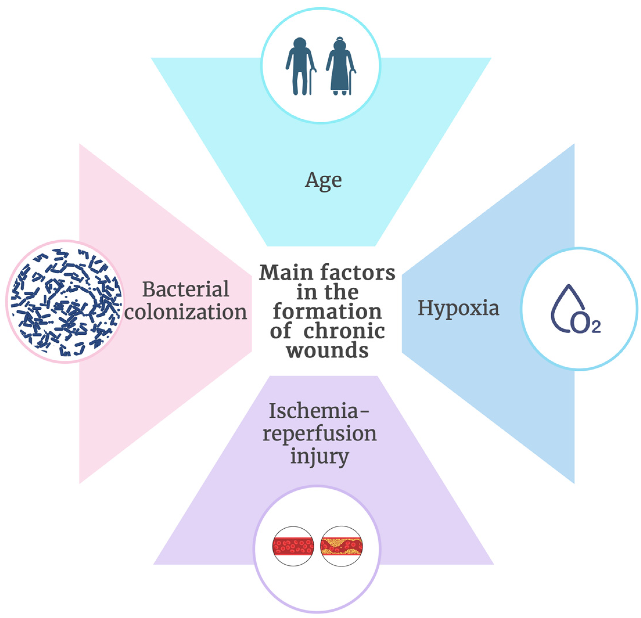 Molecules 29 05551 g004