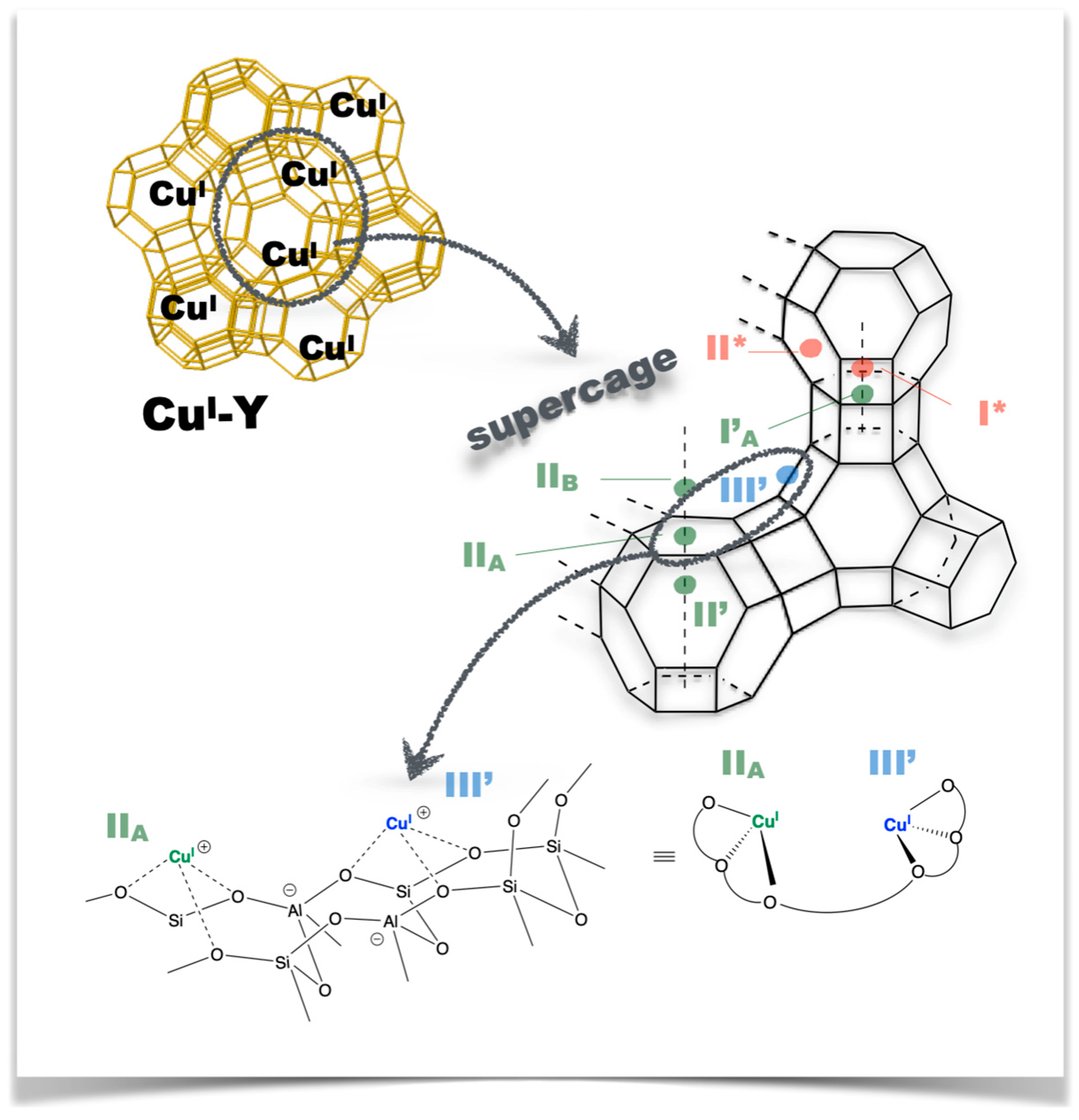 Molecules 29 05552 g004