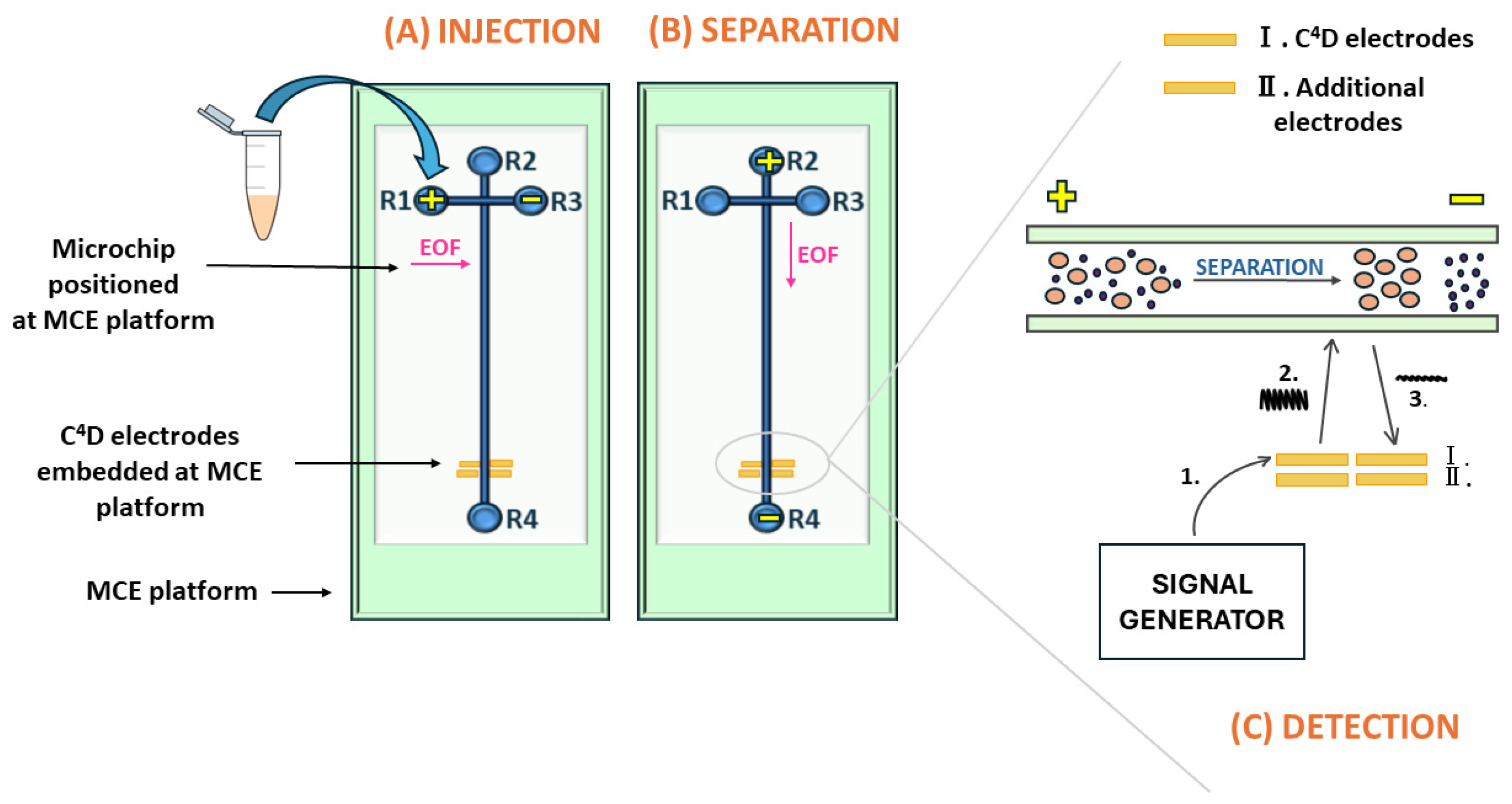 Molecules 29 05554 g007