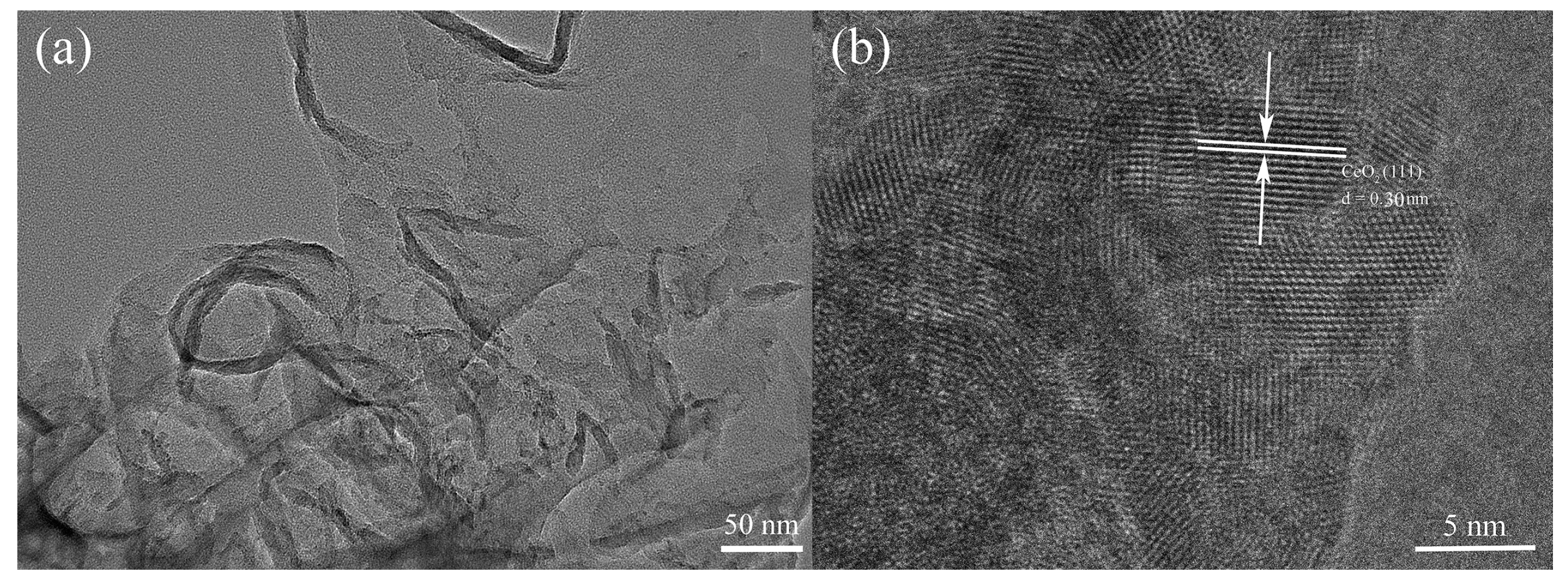 Molecules 29 05557 g004 Molecules 29 05557 g004